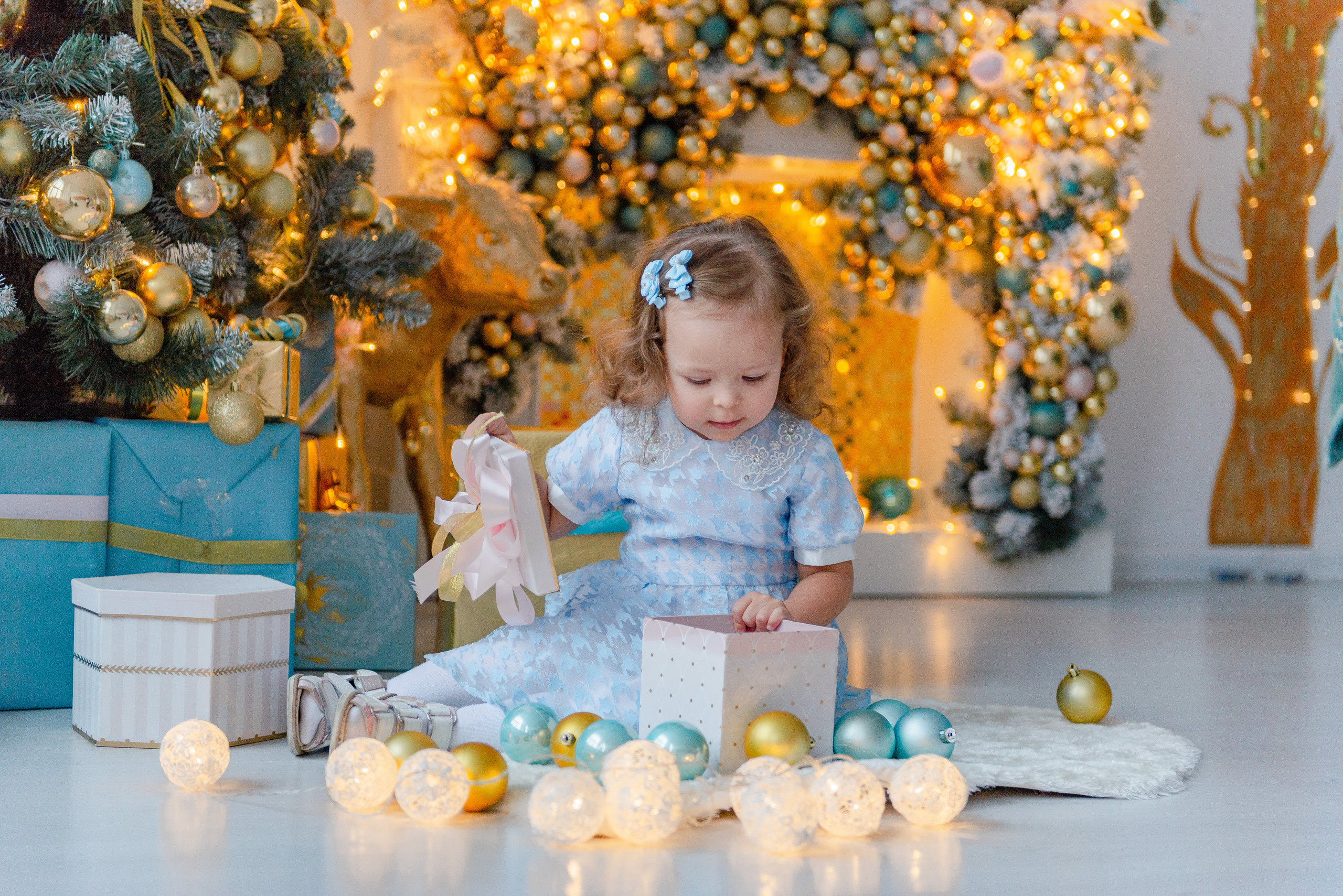 Новый год. Сайт фотографа Анны Беляевой