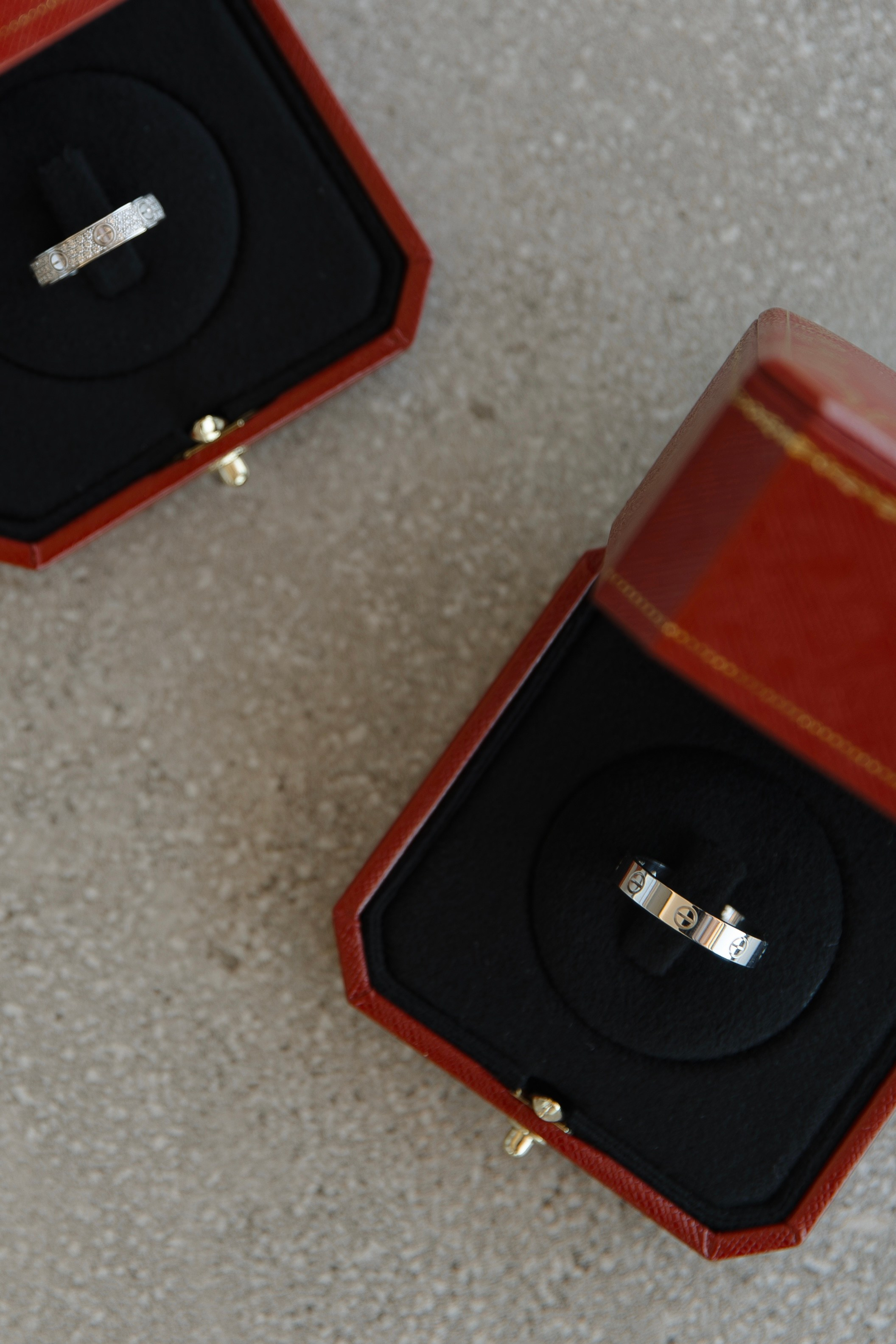 Алиса | Антон