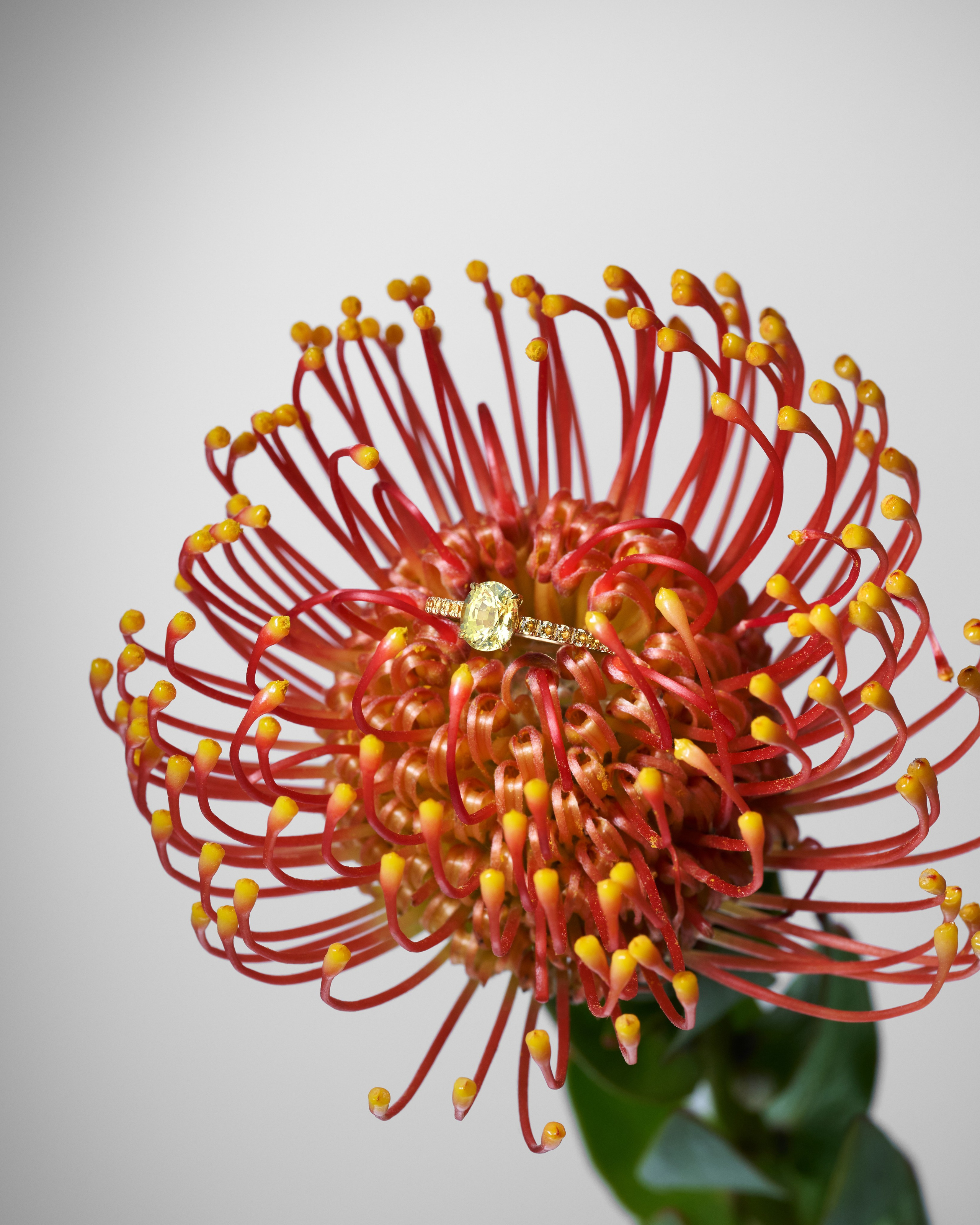 Украшения. Оксана Ильенко. Предметный фотограф и сет-дизайнер, Санкт-Петербург