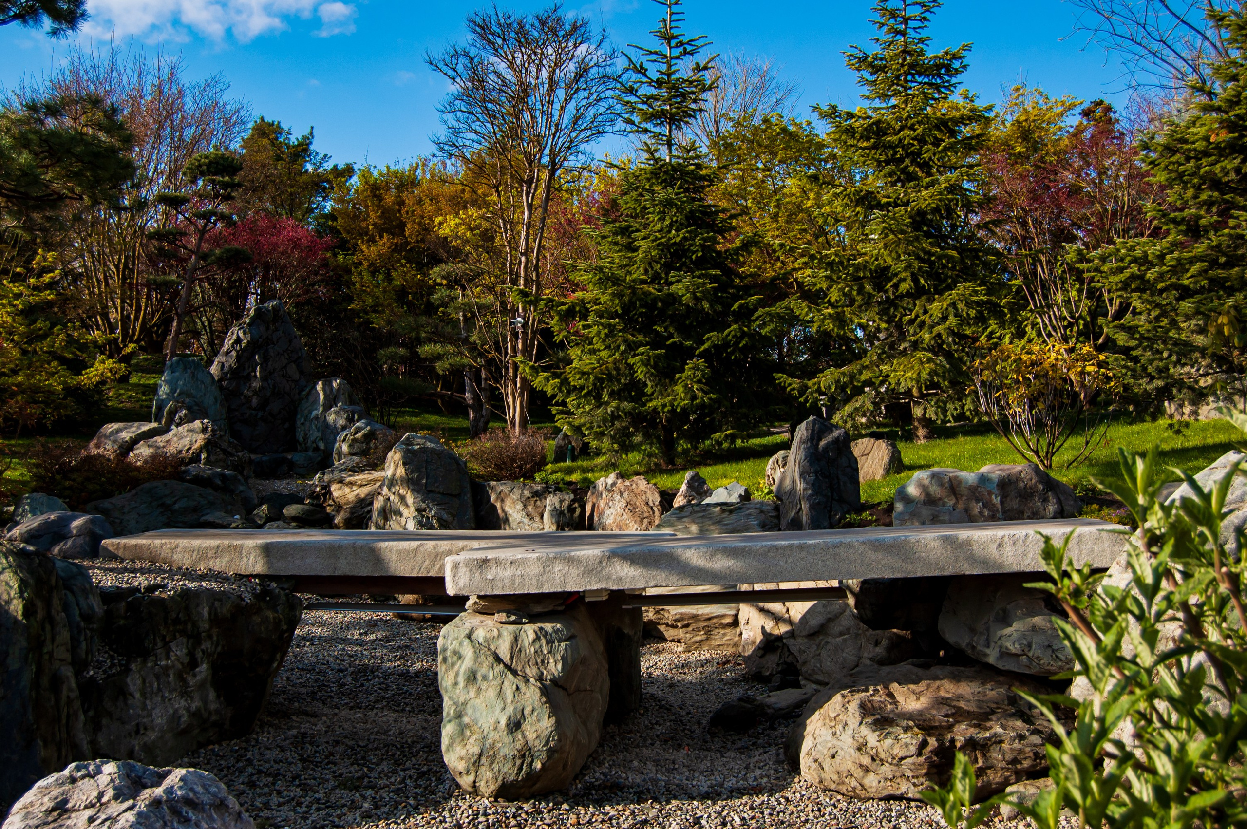 Фотосессия эстетики Японского сада в Краснодаре. Портретный фотограф в Краснодаре Слава Никитин