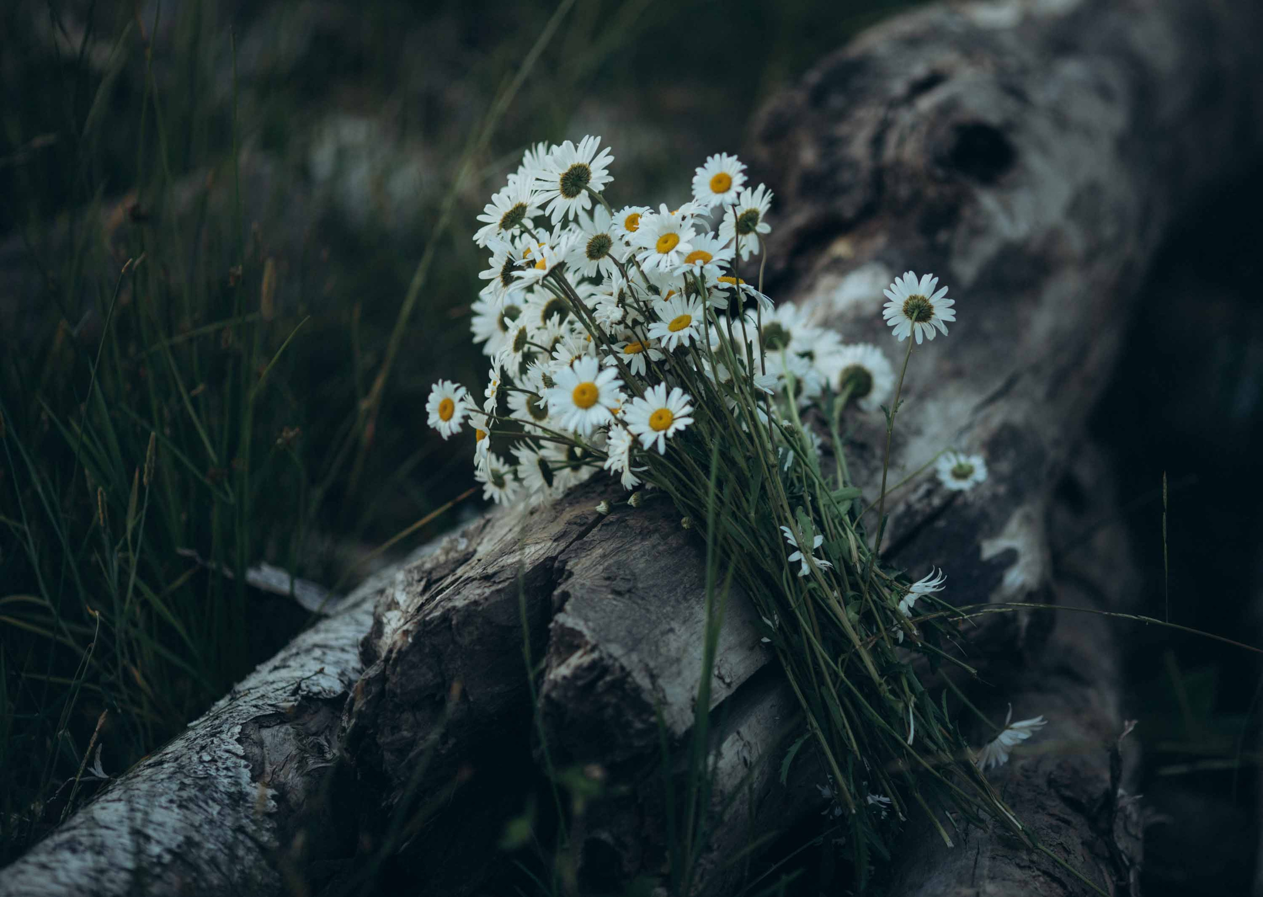 Танец на песке. Наталия Клевинскас портретный фотограф в Костроме