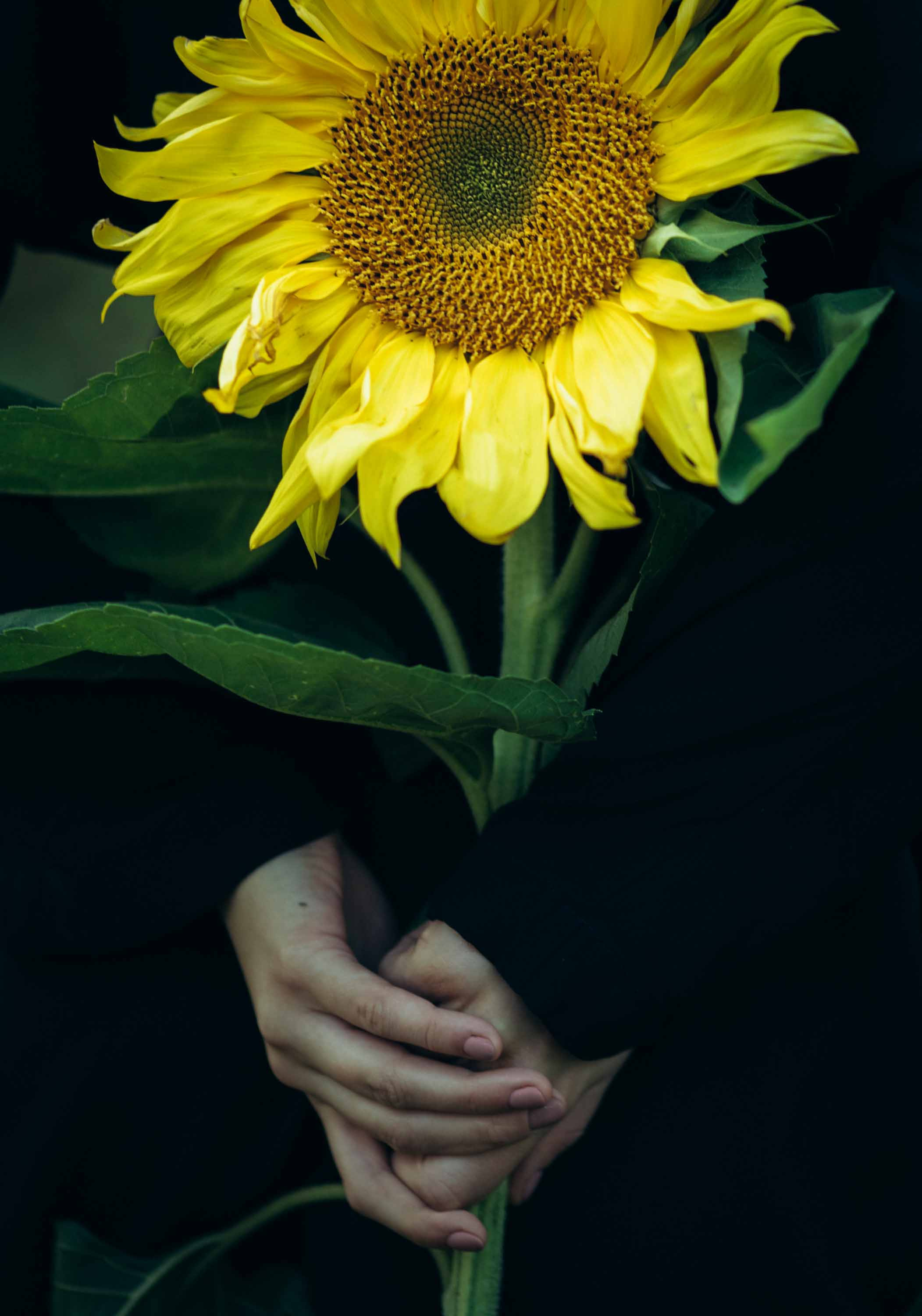 Девушка с подсолнухом. Наталия Клевинскас портретный фотограф в Костроме