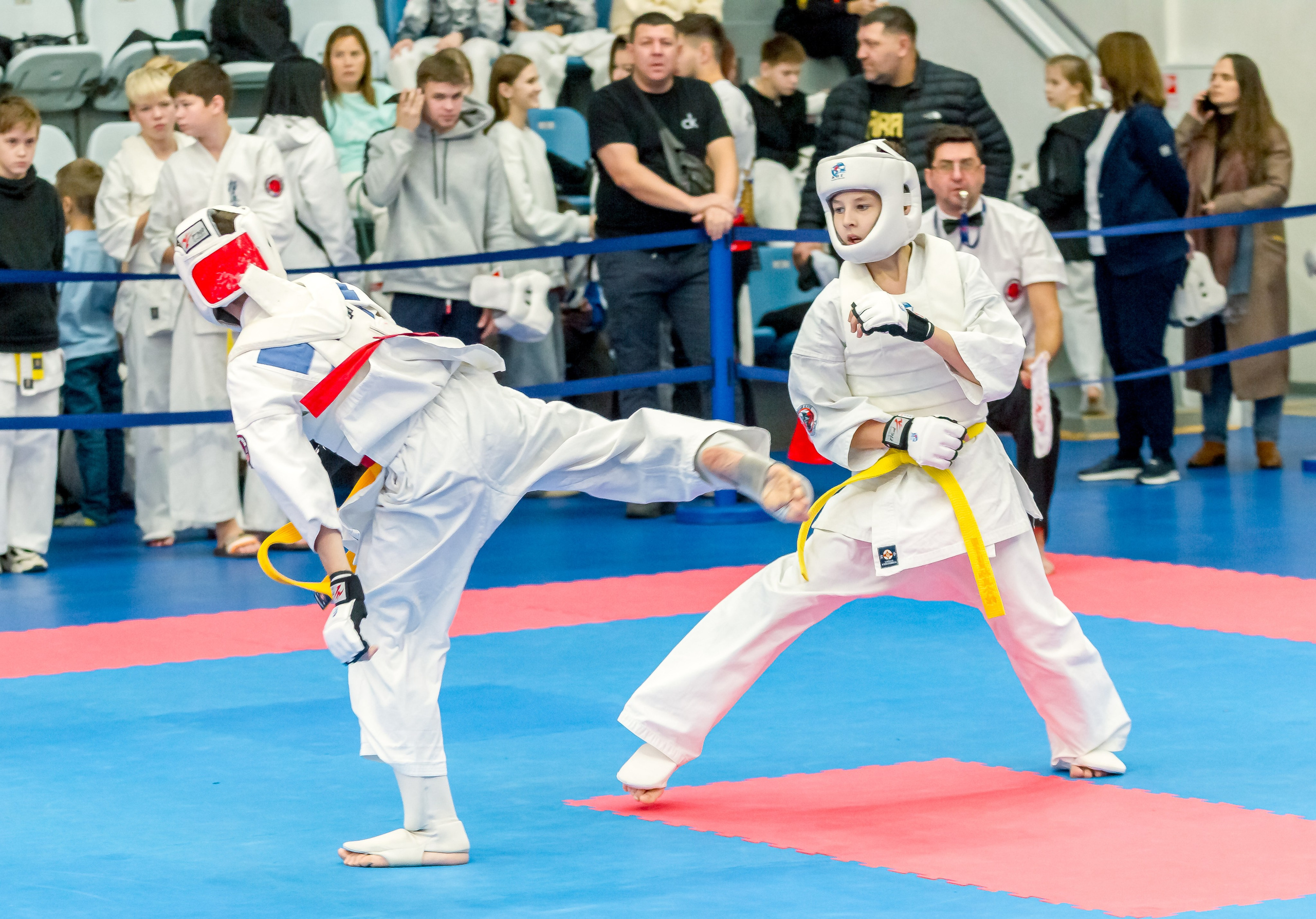 Соревнования по Киокушин памяти С. Увицкого. Репортажная съемка в Москве и области. Анималистика