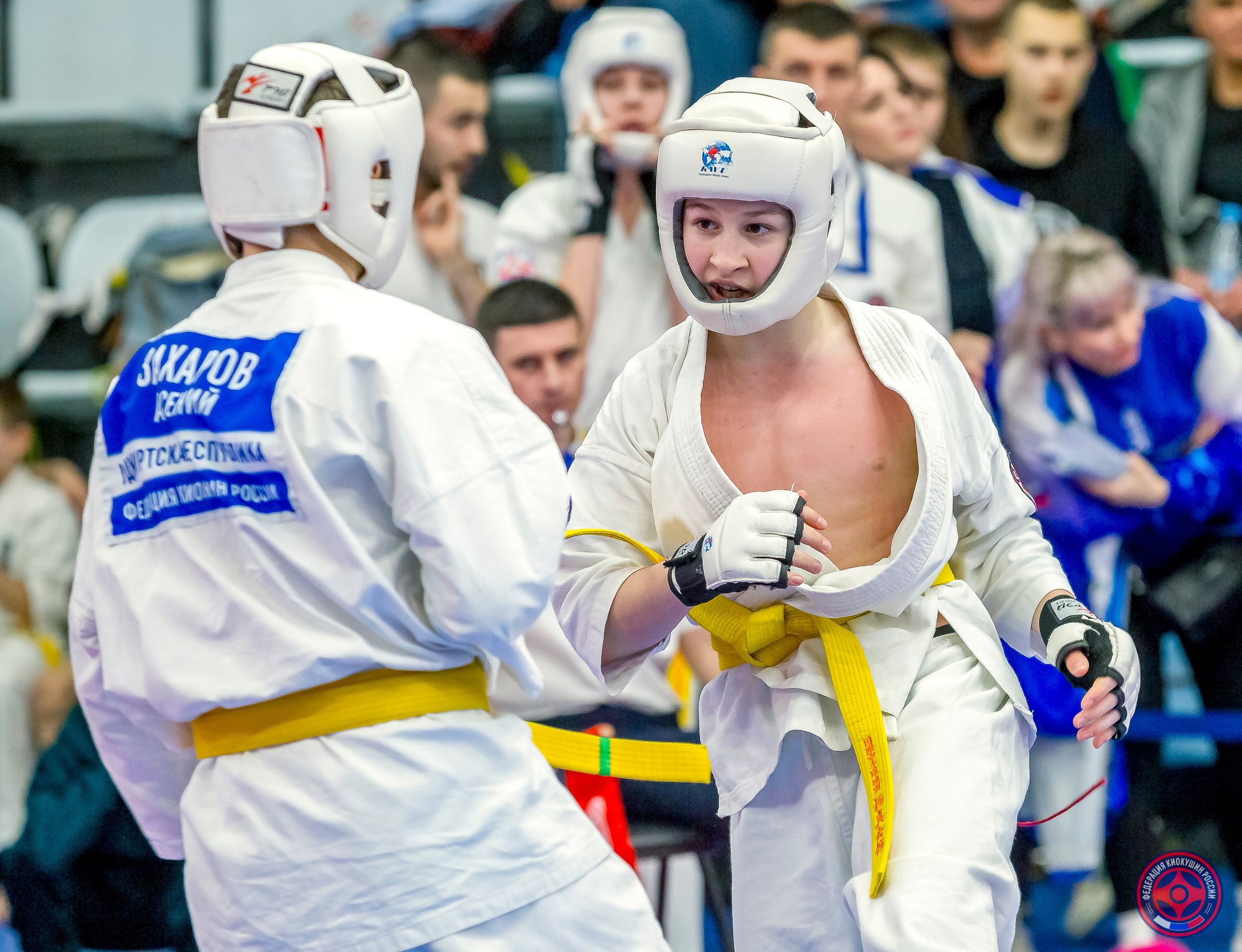 Международный турнир по киокушин «Открытый кубок Seiken». Репортажная съемка в Москве и области. Анималистика