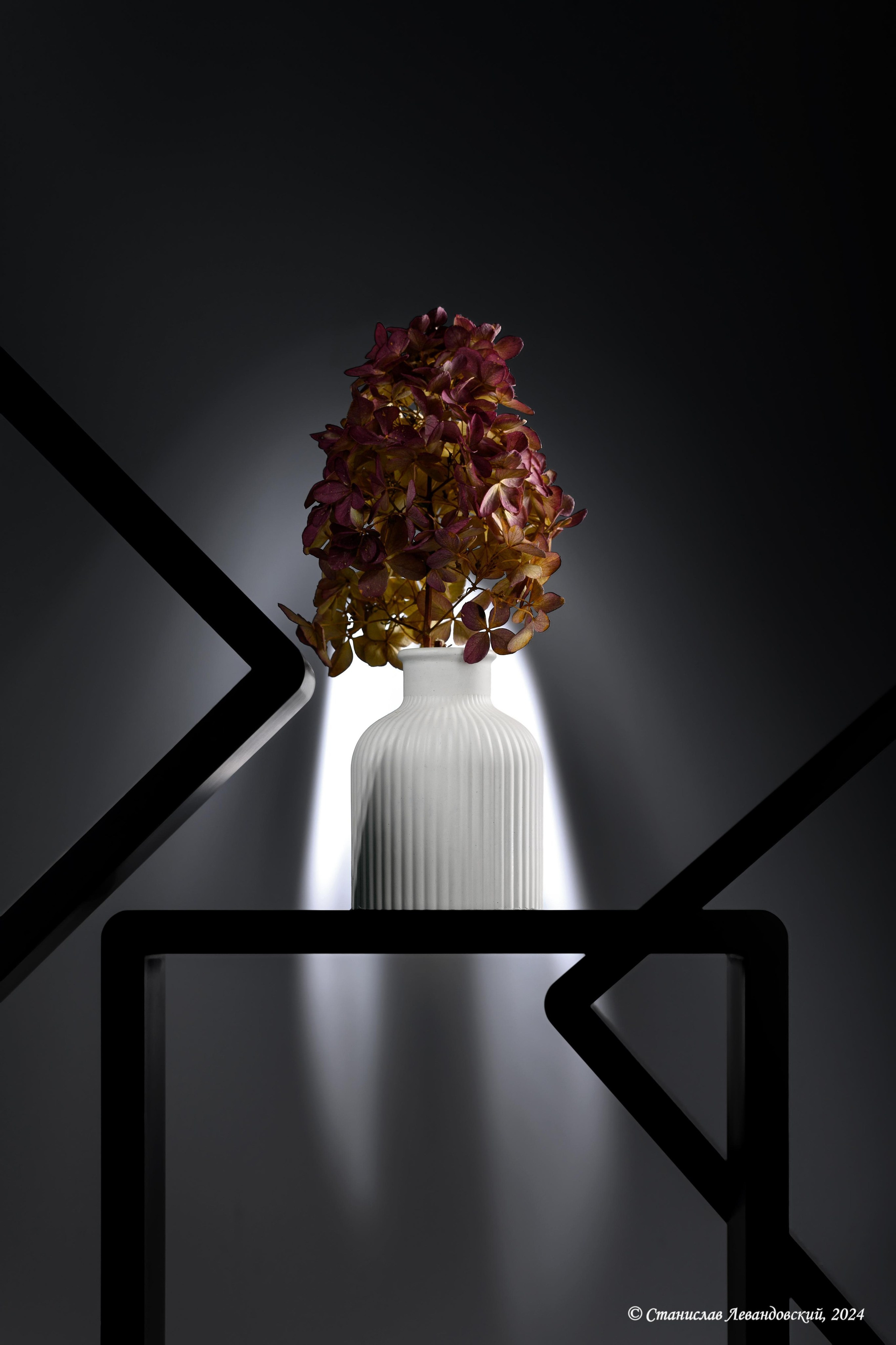 Предметы с матовой поверхностью. Предметный фотограф в Москве Станислав Левандовский