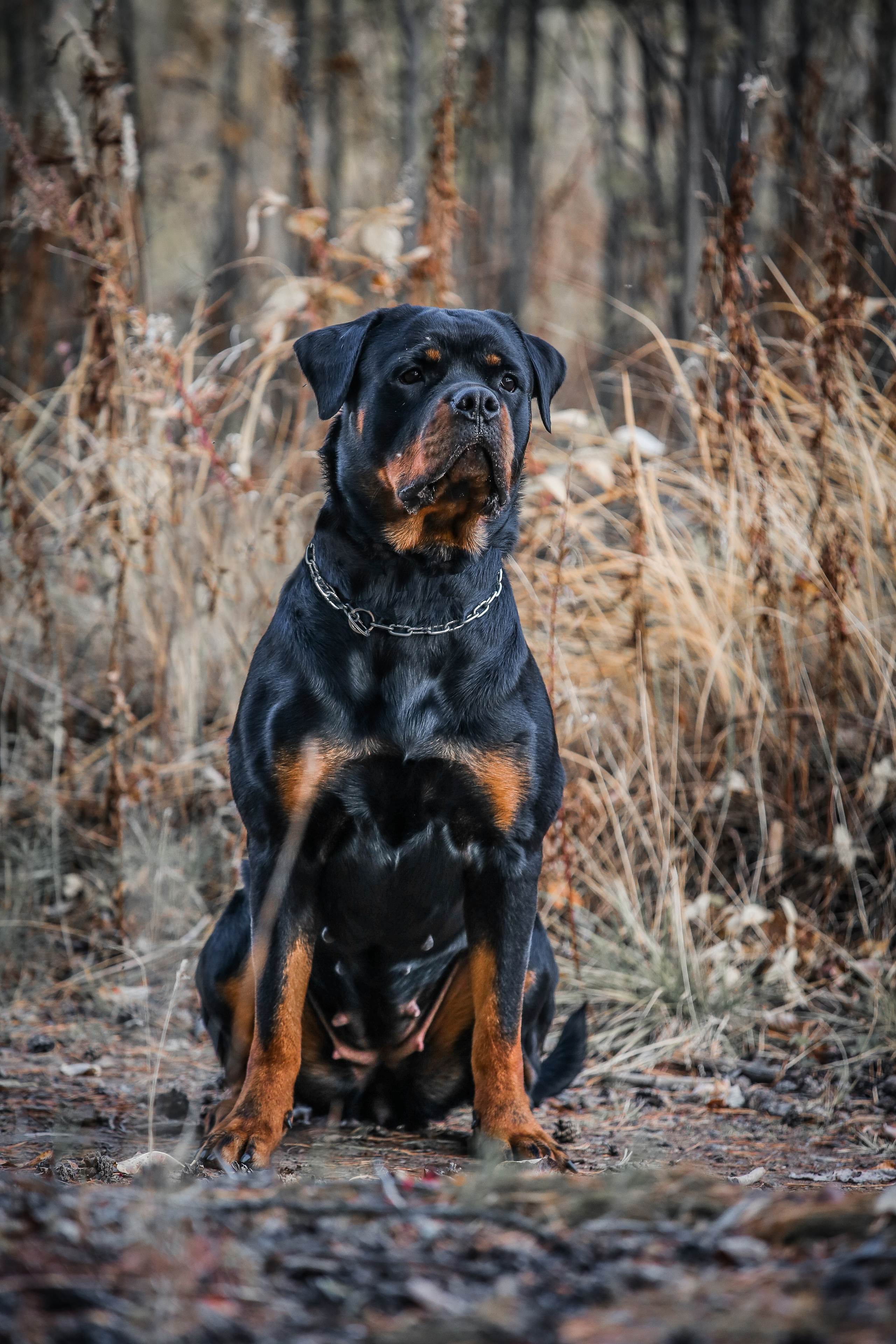 Животные. Авторские туры с профессиональным фотографом