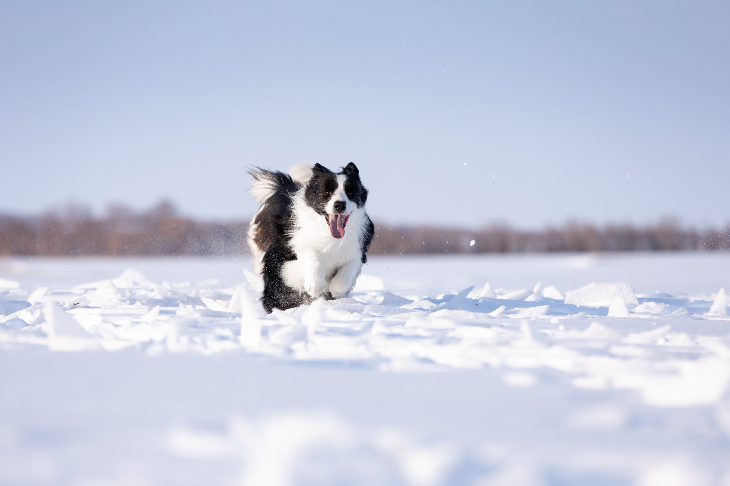 Мороз и солнце. О нас
