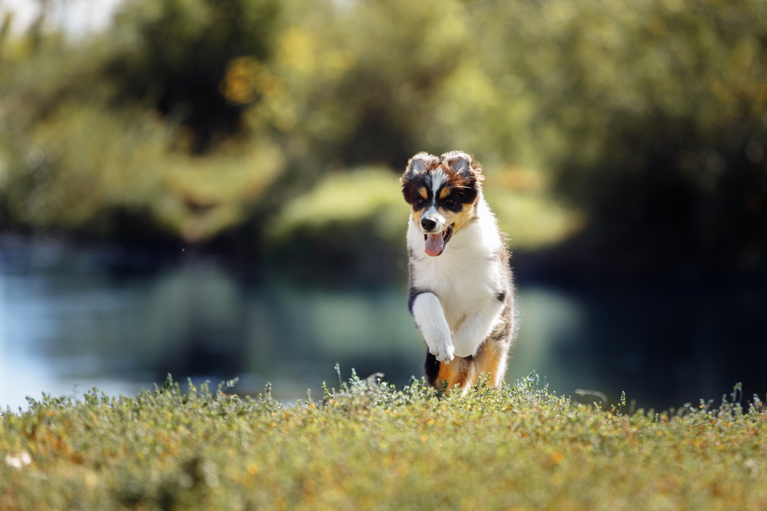 Водяные в Новотроицке. О нас