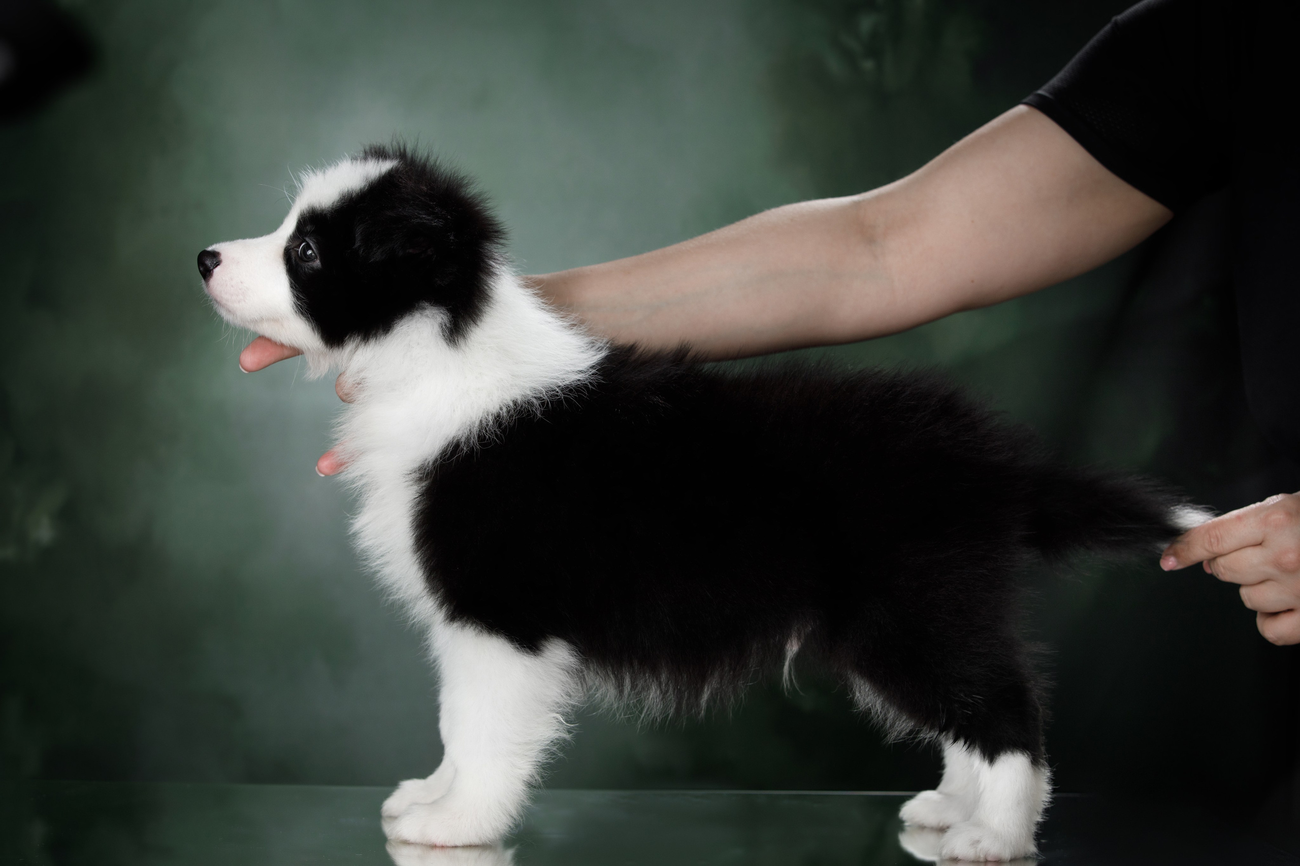 Март. Весна. 22. О нас