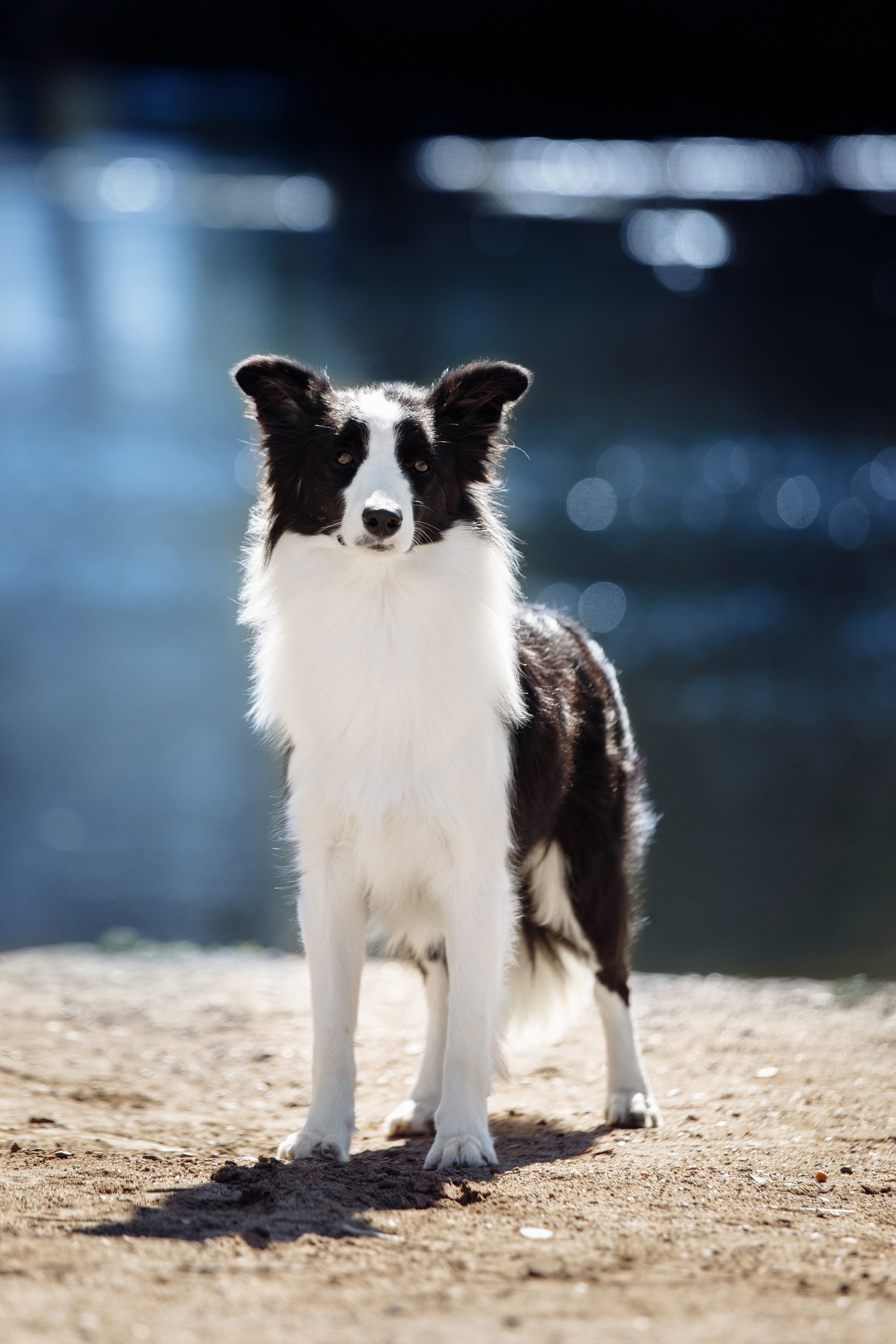 Водяные в Новотроицке. О нас