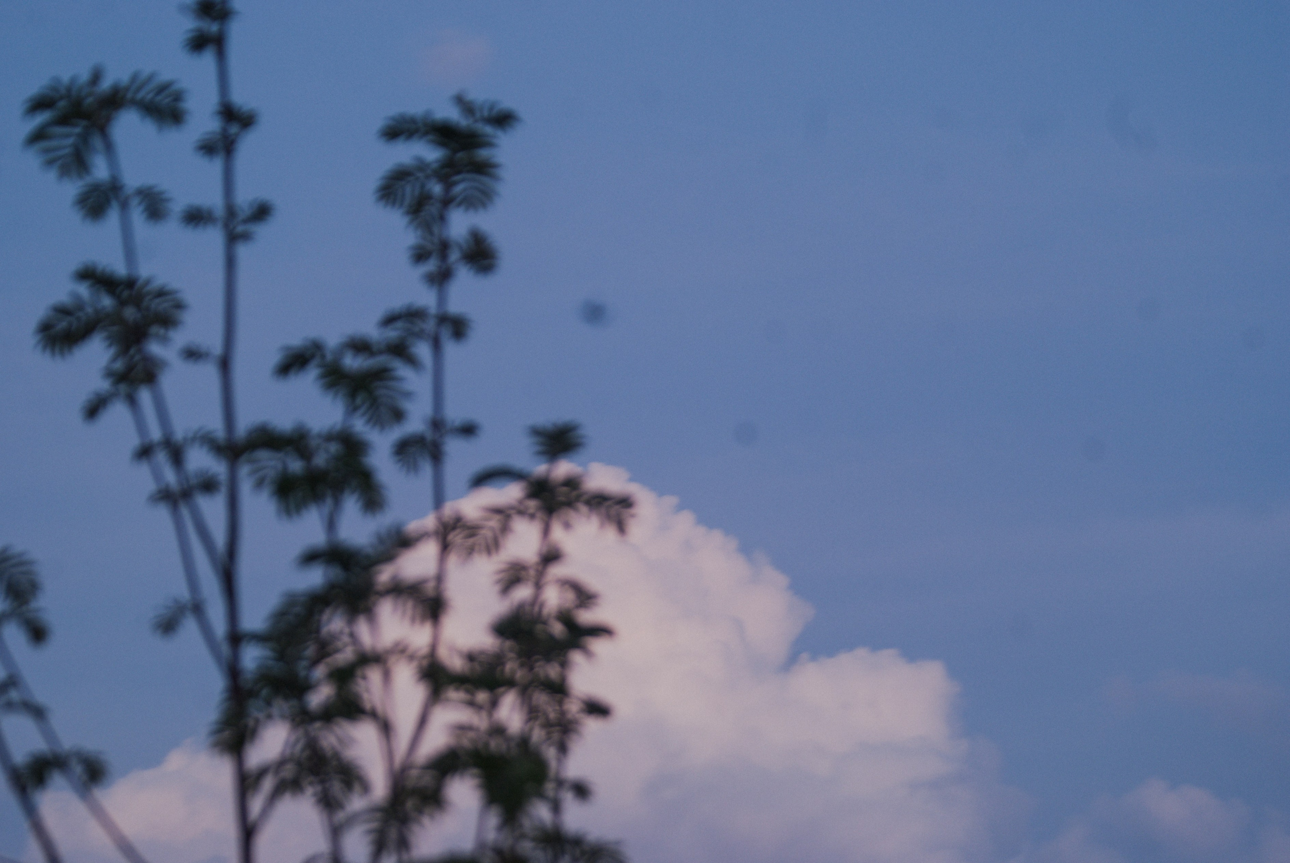 Этот прекрасный мир