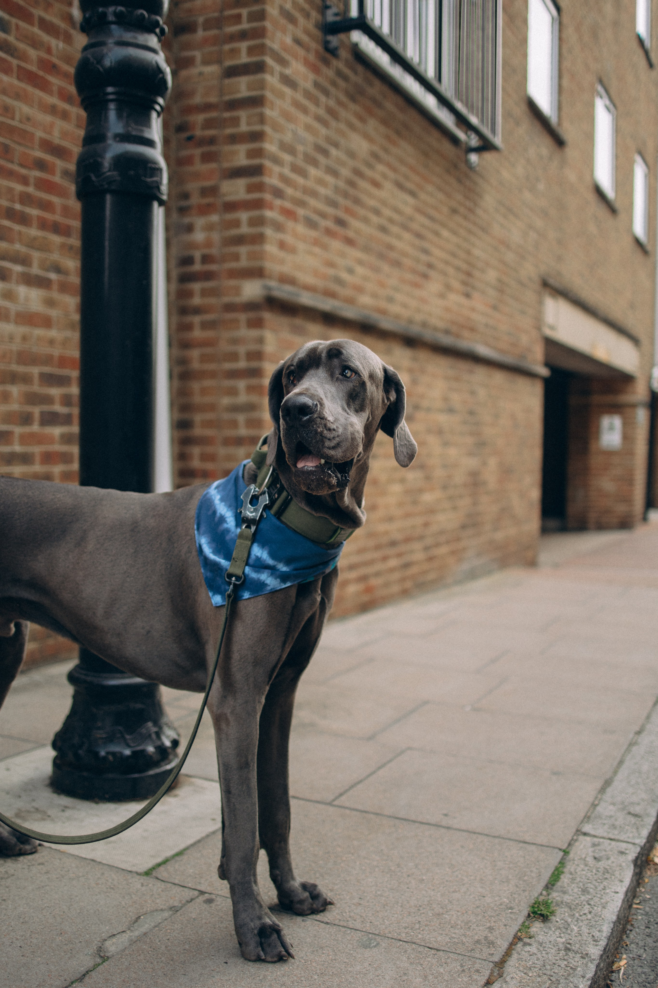 Луиза и Нельсон. Фотораф — анималист Мария Шистка