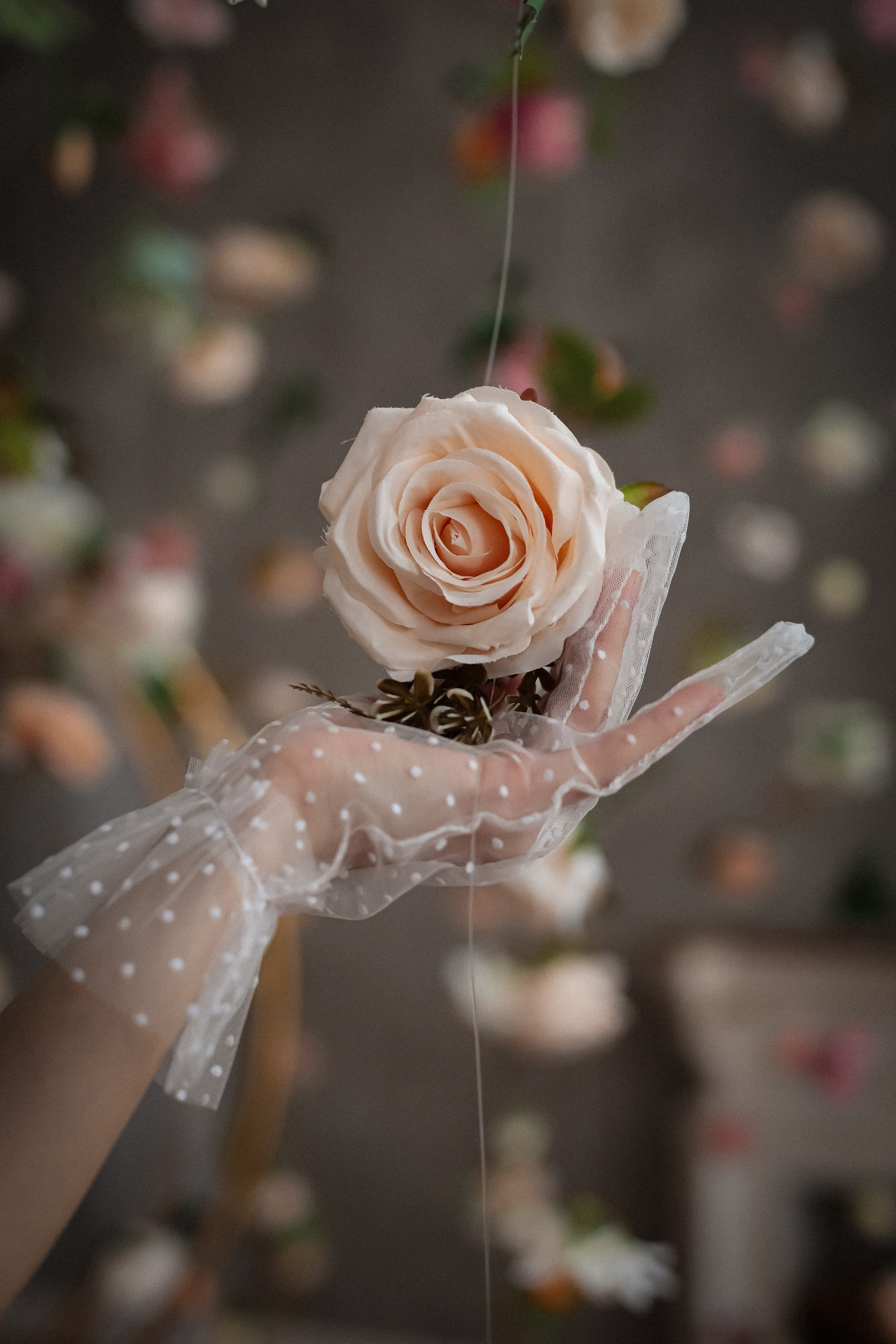 Надежда. Фотограф г. Хабаровск. Семейные и индивидуальные съёмки