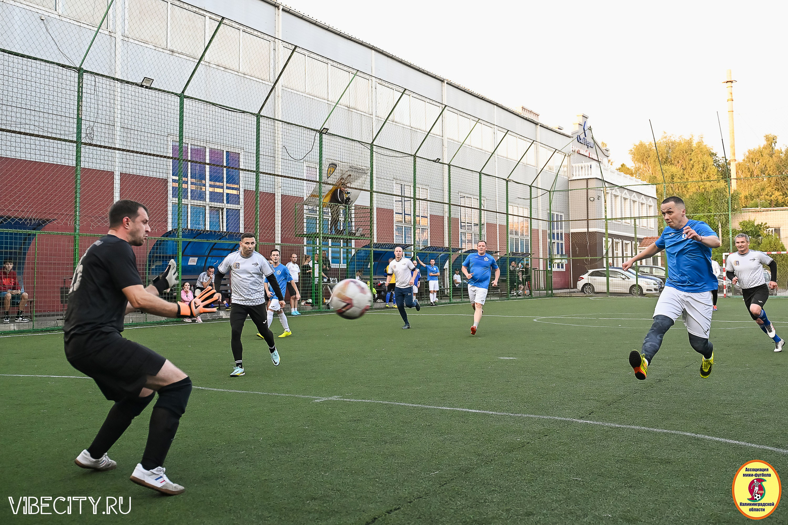 ИГРЫ ПЛЕЙ-ОФФ ПЕРВОГО ДИВИЗИОНА МИНИ-ФУТБОЛЬНОЙ ЛИГИ. VIBECITY.RU Вайб Сити Ру Фоторепортажи Фотоотчеты Калининград