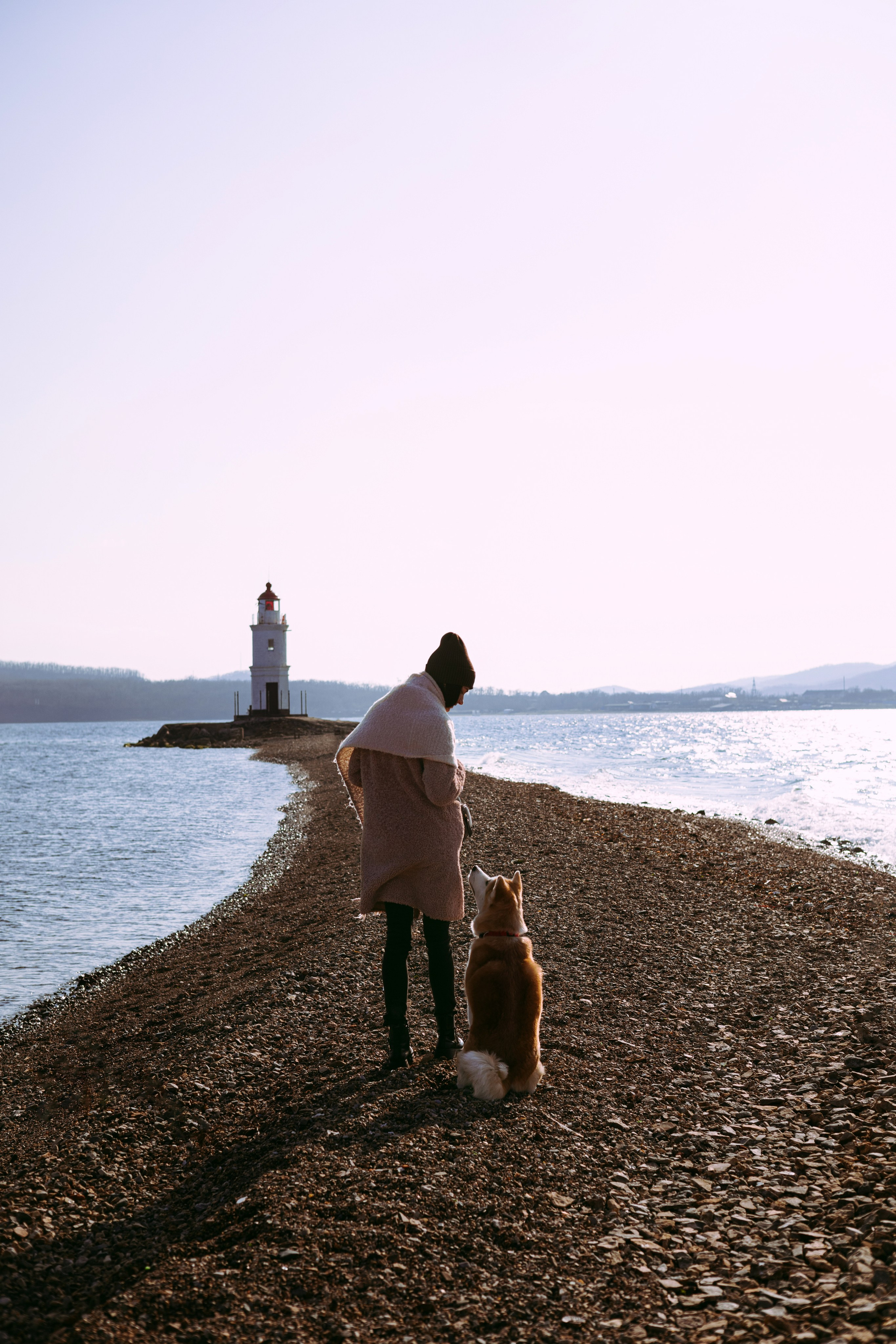 Мария и Бейла. Фотограф — анималист Владивосток, Алина