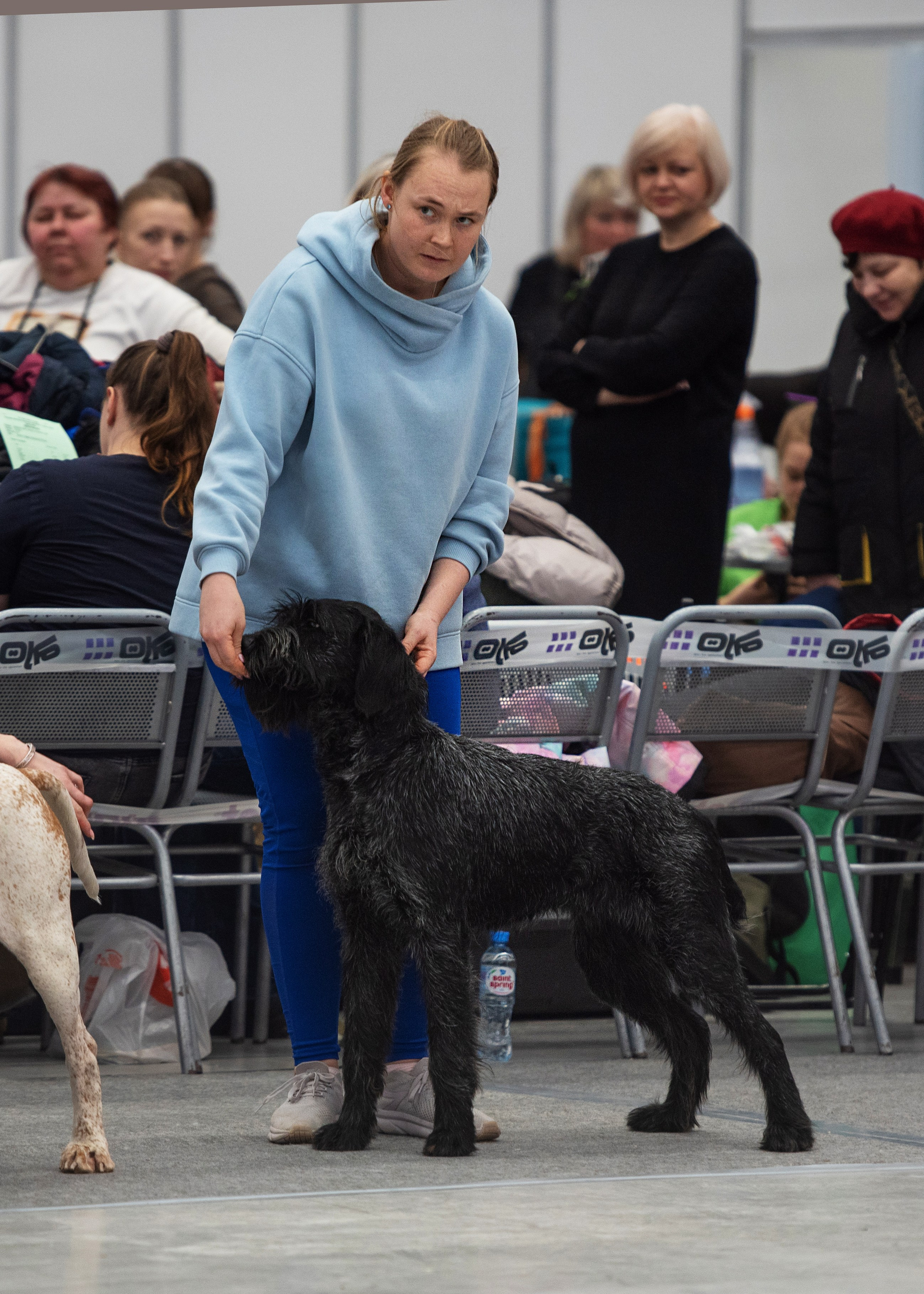Выставки. Главная