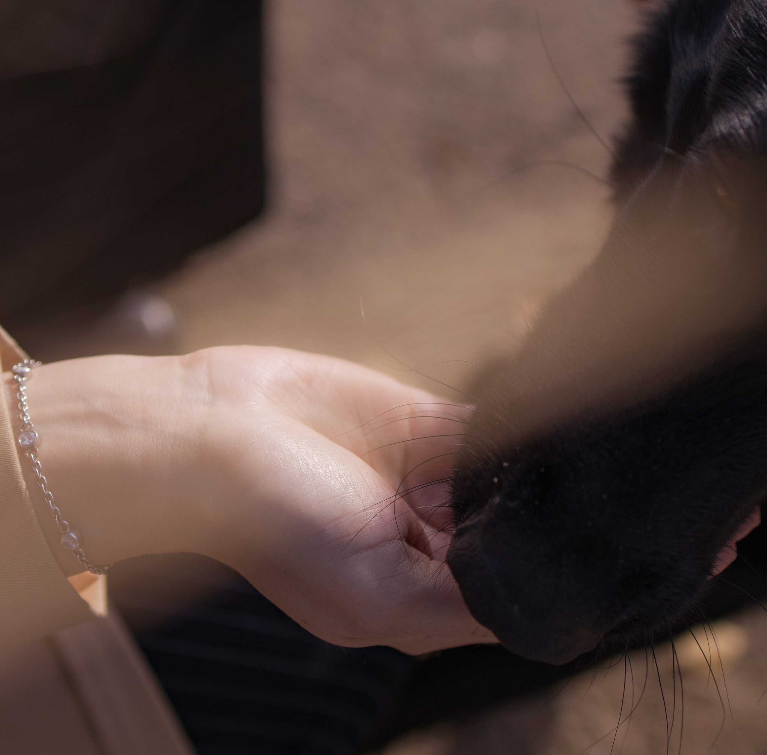 Даша и Дэни. Художественная фотография