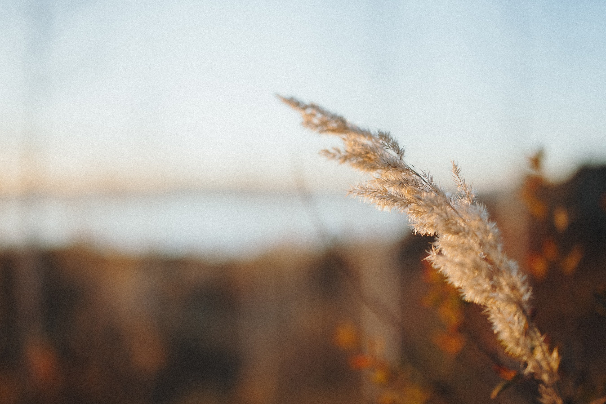 Марина и Ёлка. Фотограф Наталья Потапова