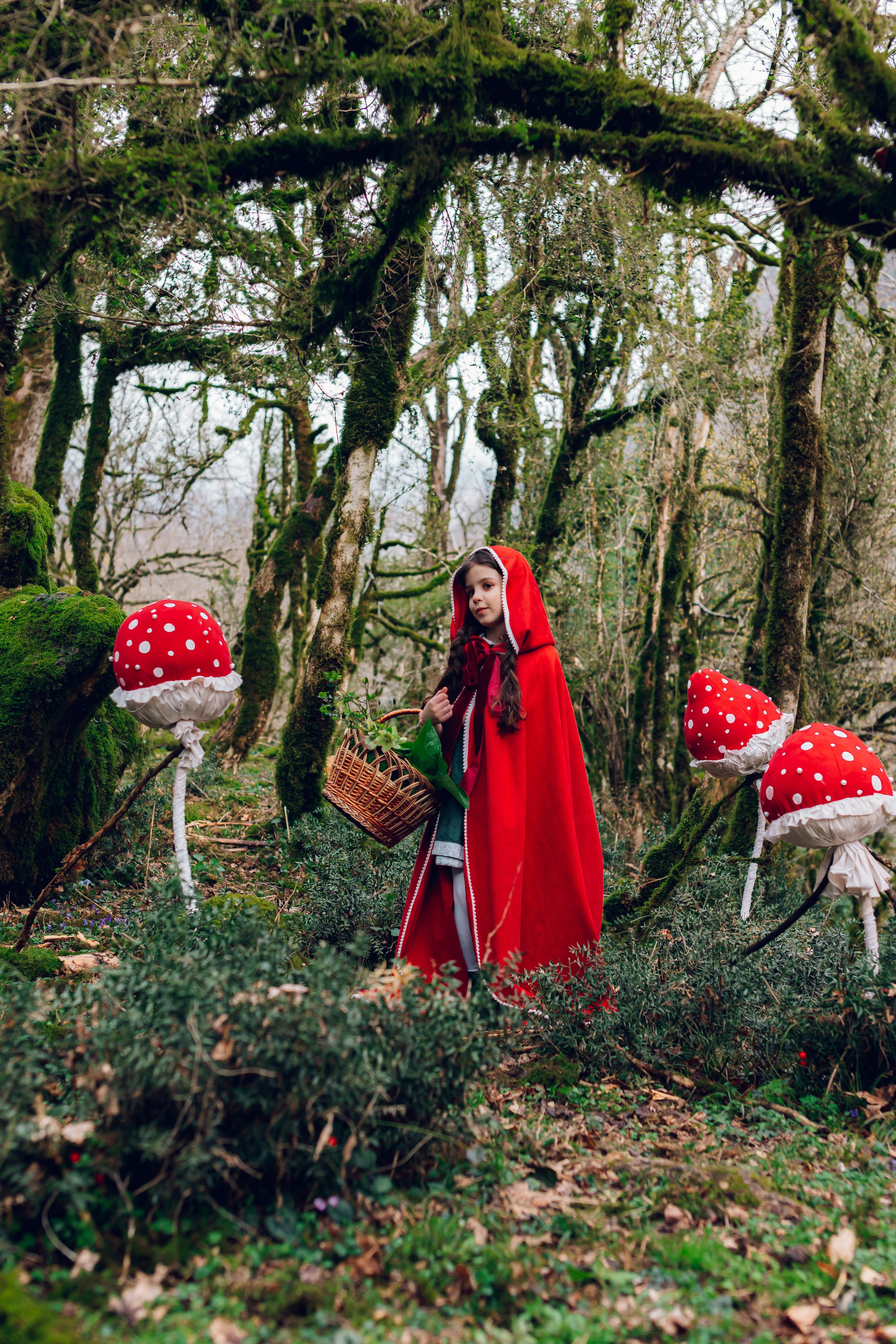 Самшитовая роща. Семейный и художественный фотограф в Тюмени Юлия Логинова