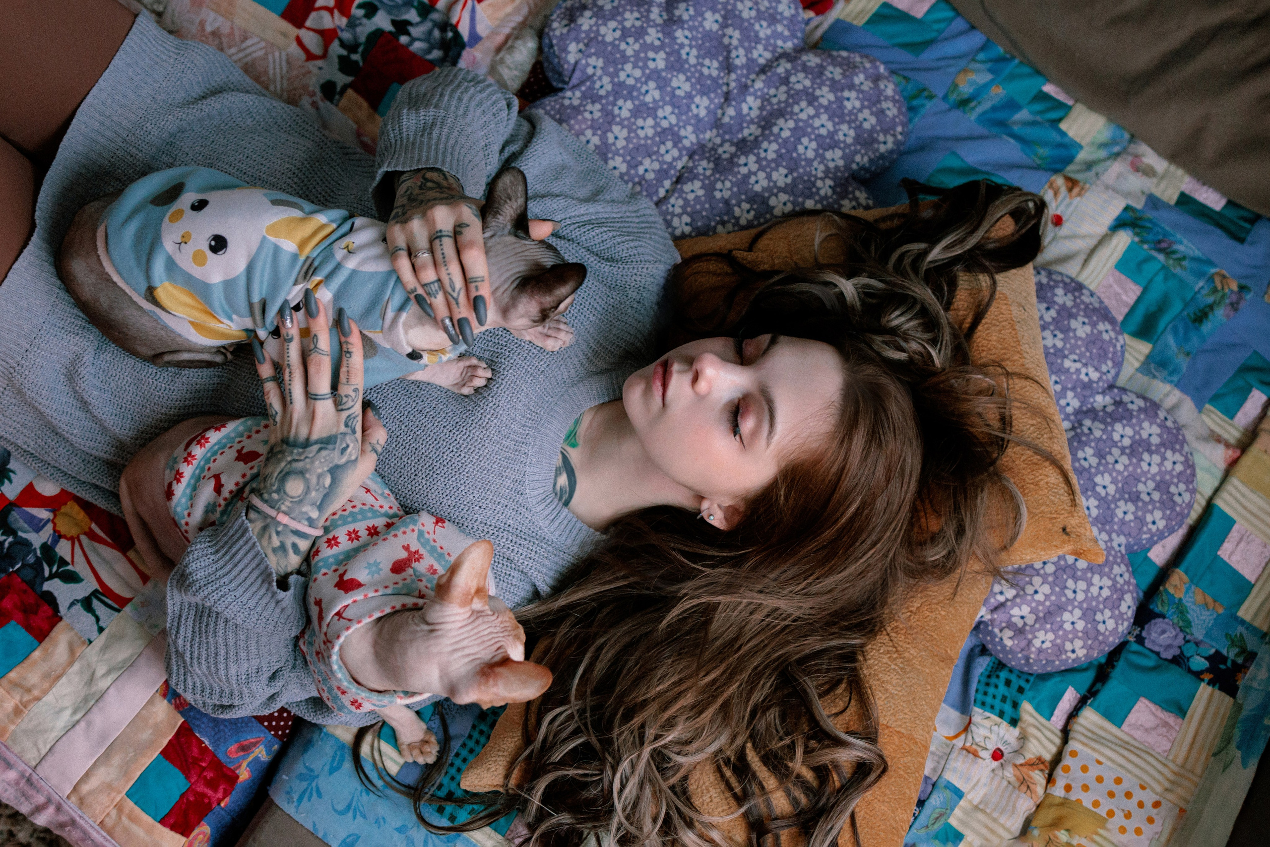 Алиса и котики. Фотограф в Санкт-Петербурге Алёна Губинская