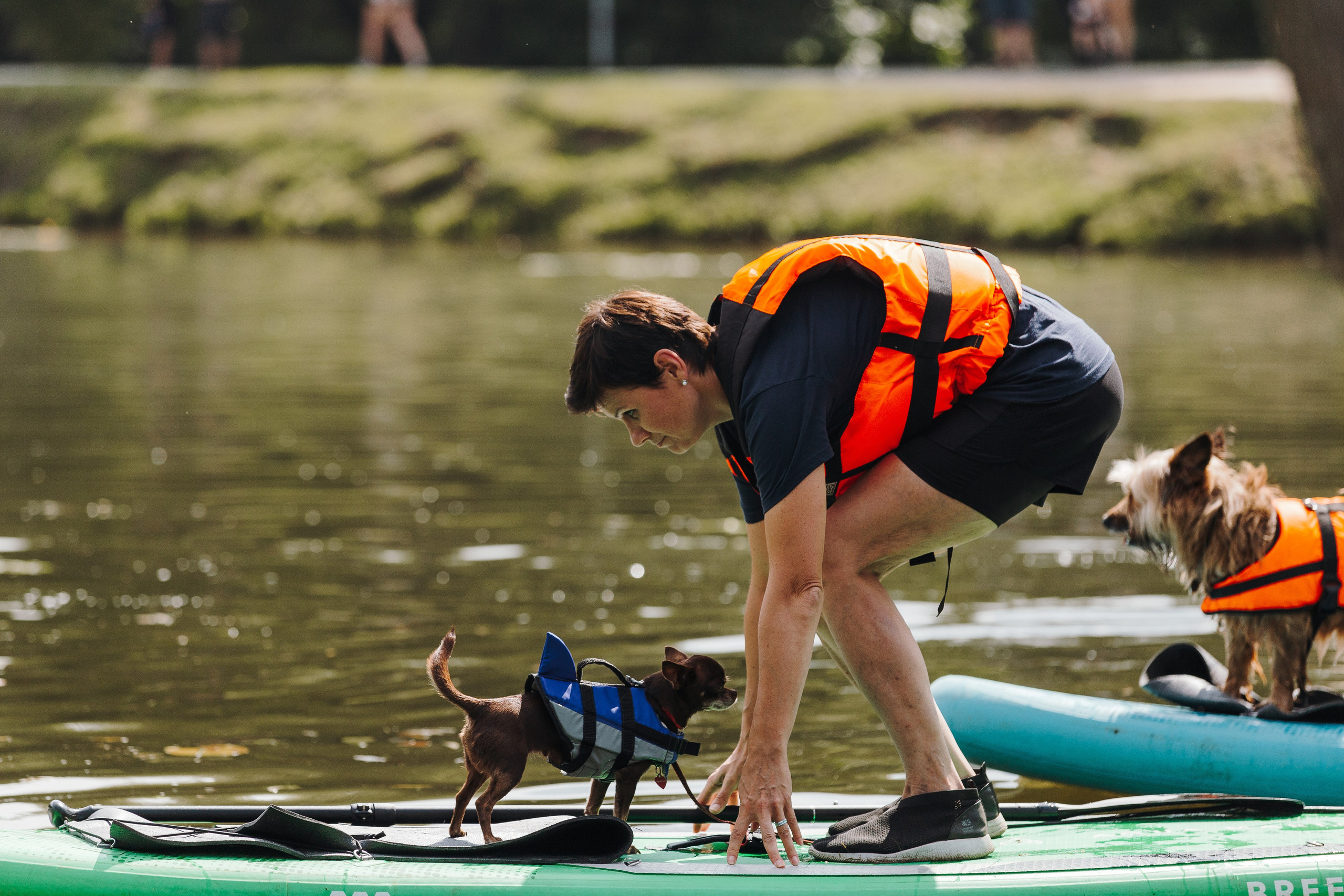 Petshop Sup day. Фотограф анималист Кристина Карпова, Москва
