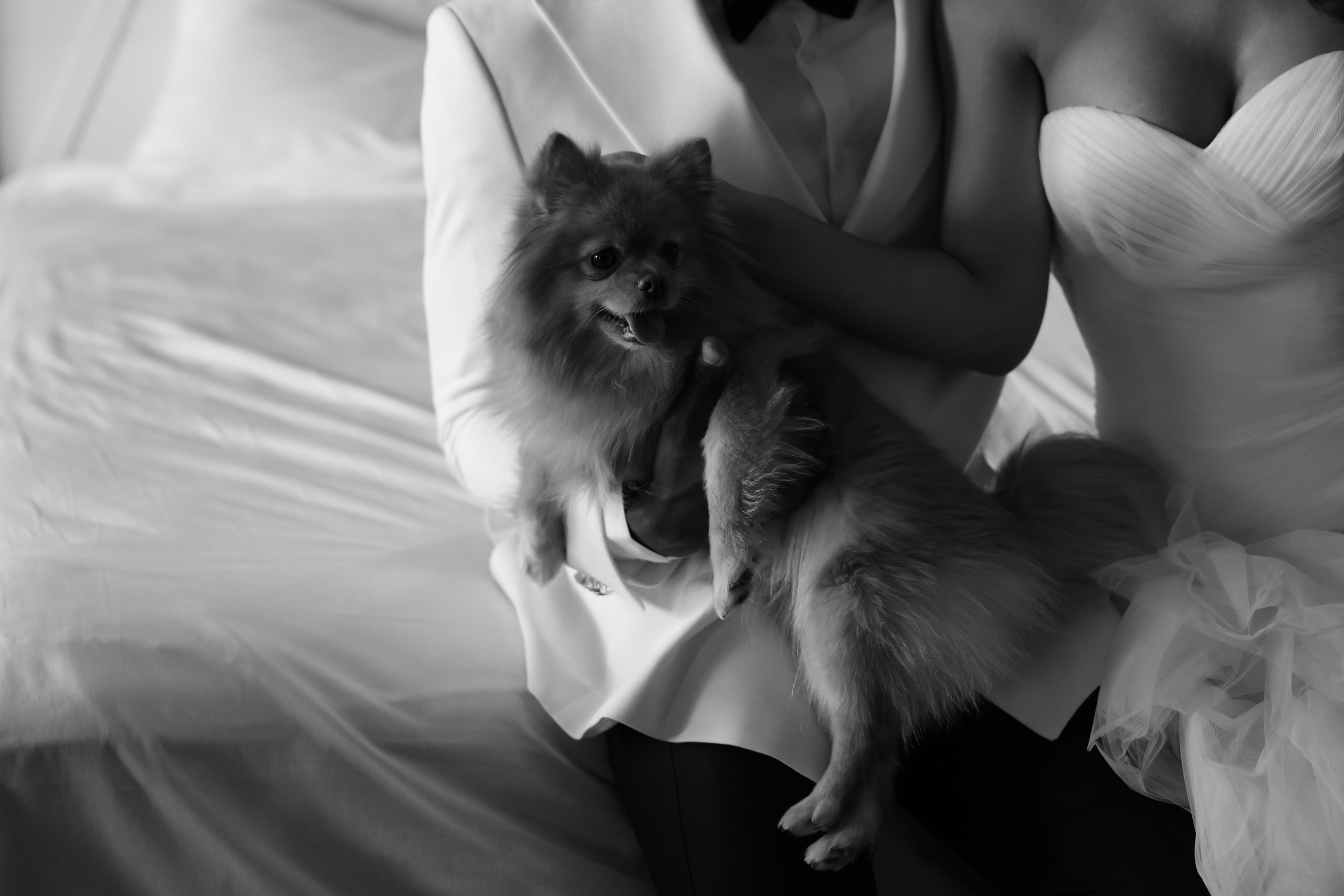 Руфина. Меня зовут Гайдар Искаков. Я живу в Астане и фотографирую свадебные торжества, ивенты, индивидуальные сьемки в Астане, Алматы и Дубае