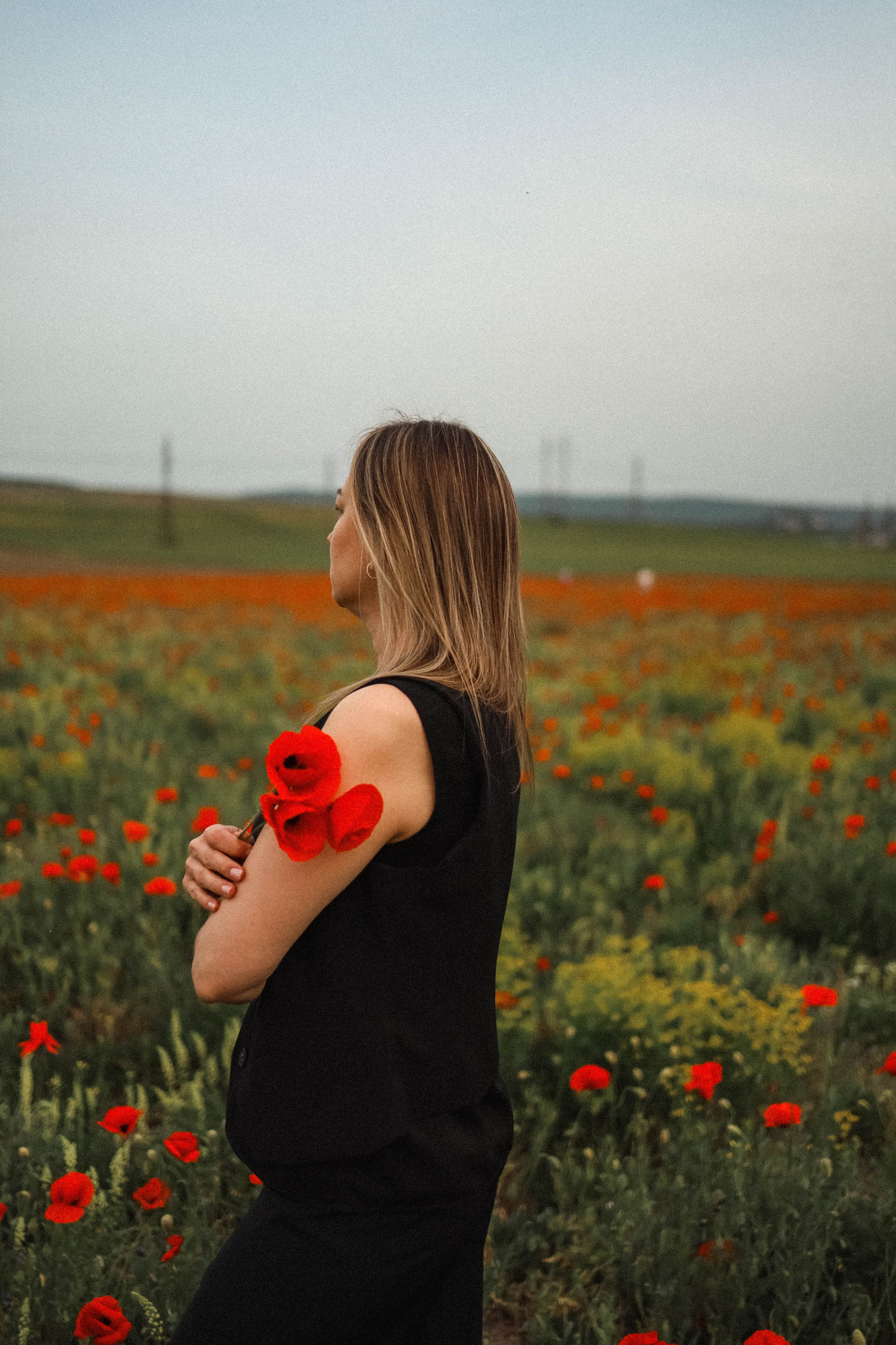 Маки. Фотограф Немазенко Ольга