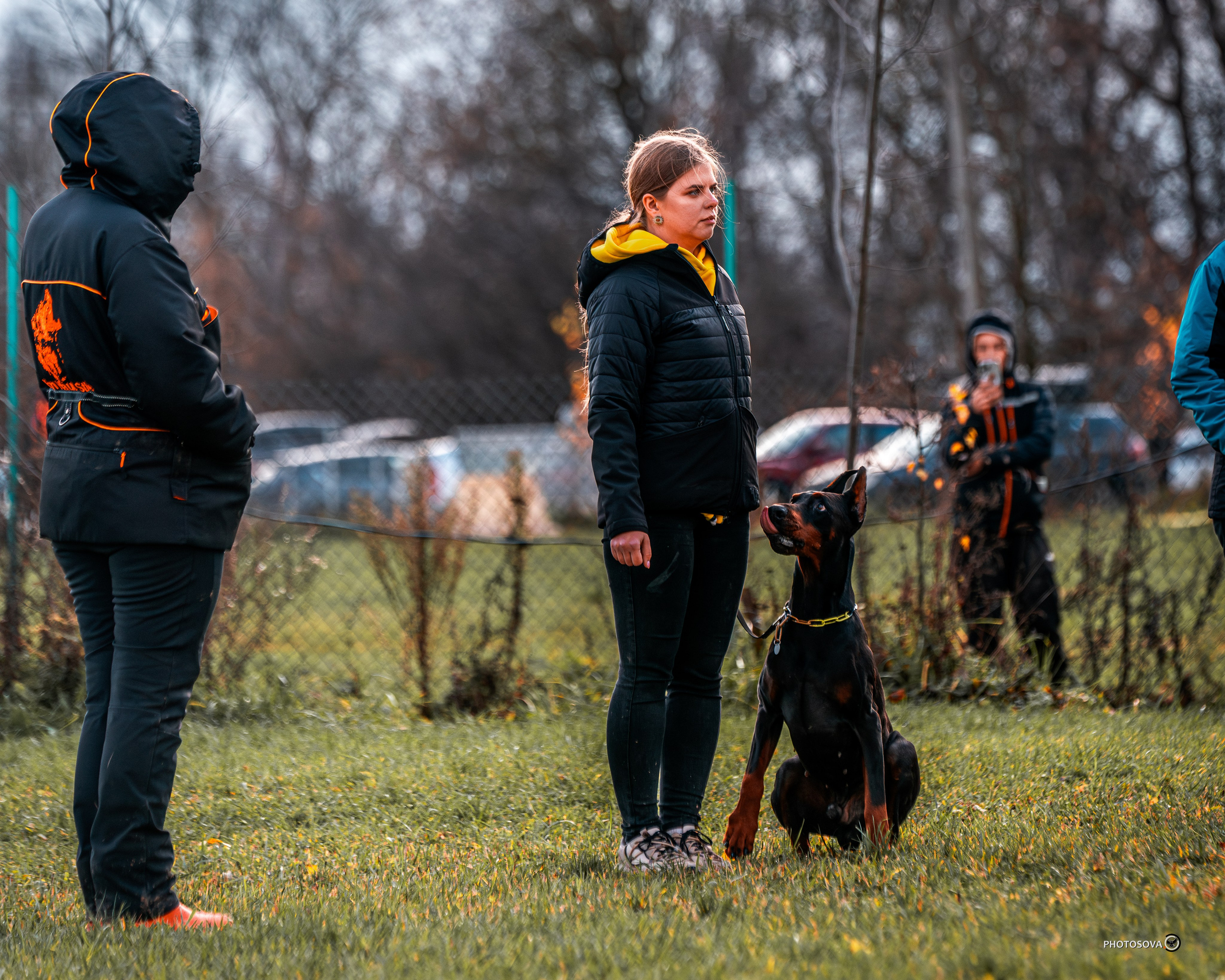 МЫ — КОМАНДА (соревнования) OKD, BH, IBGH, IGP. Фотограф-анималист, семейный фотограф в Москве и Подмосковье. Фотосъёмка кинологических дисциплин