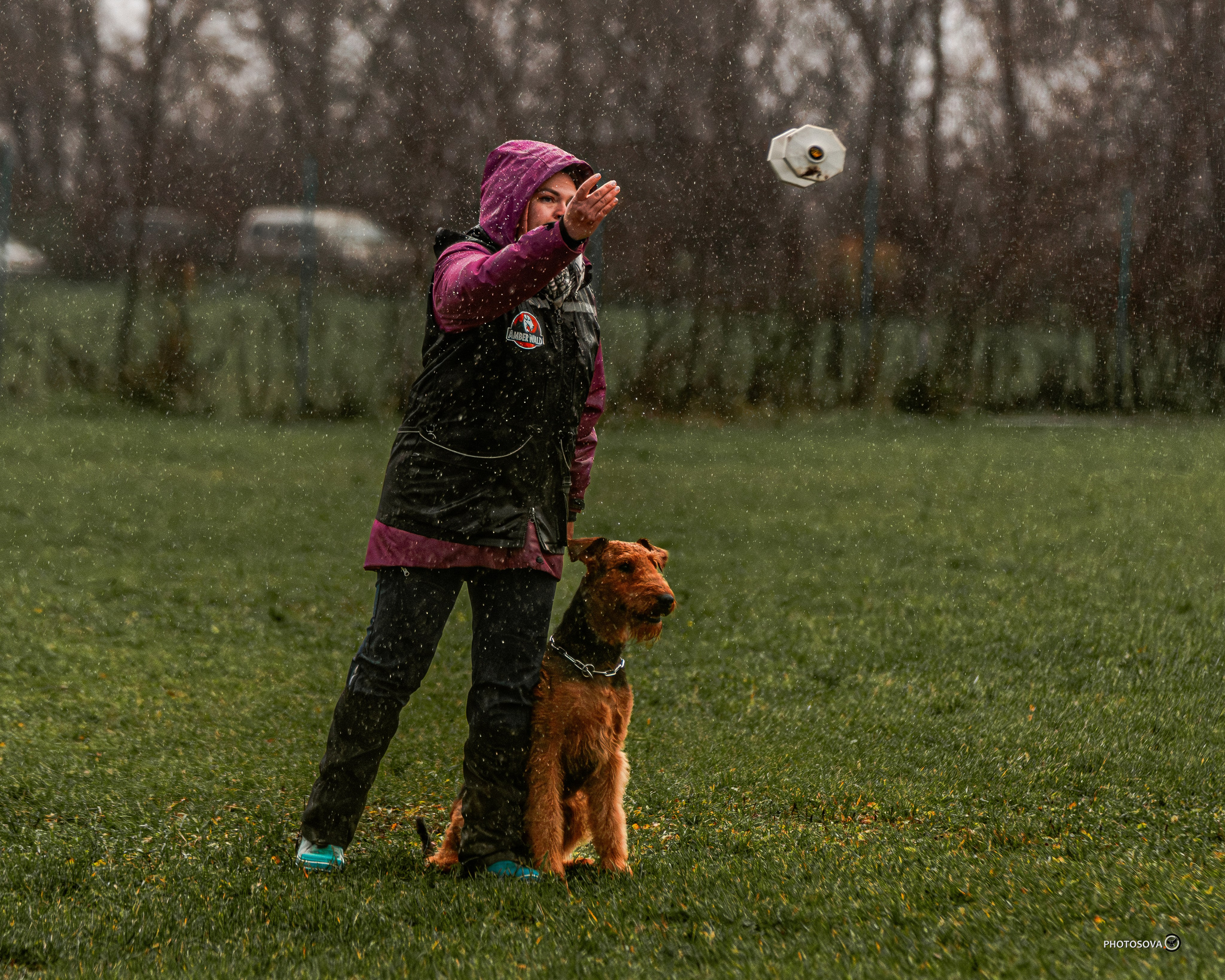 МЫ — КОМАНДА (соревнования) OKD, BH, IBGH, IGP. Фотограф-анималист, семейный фотограф в Москве и Подмосковье. Фотосъёмка кинологических дисциплин