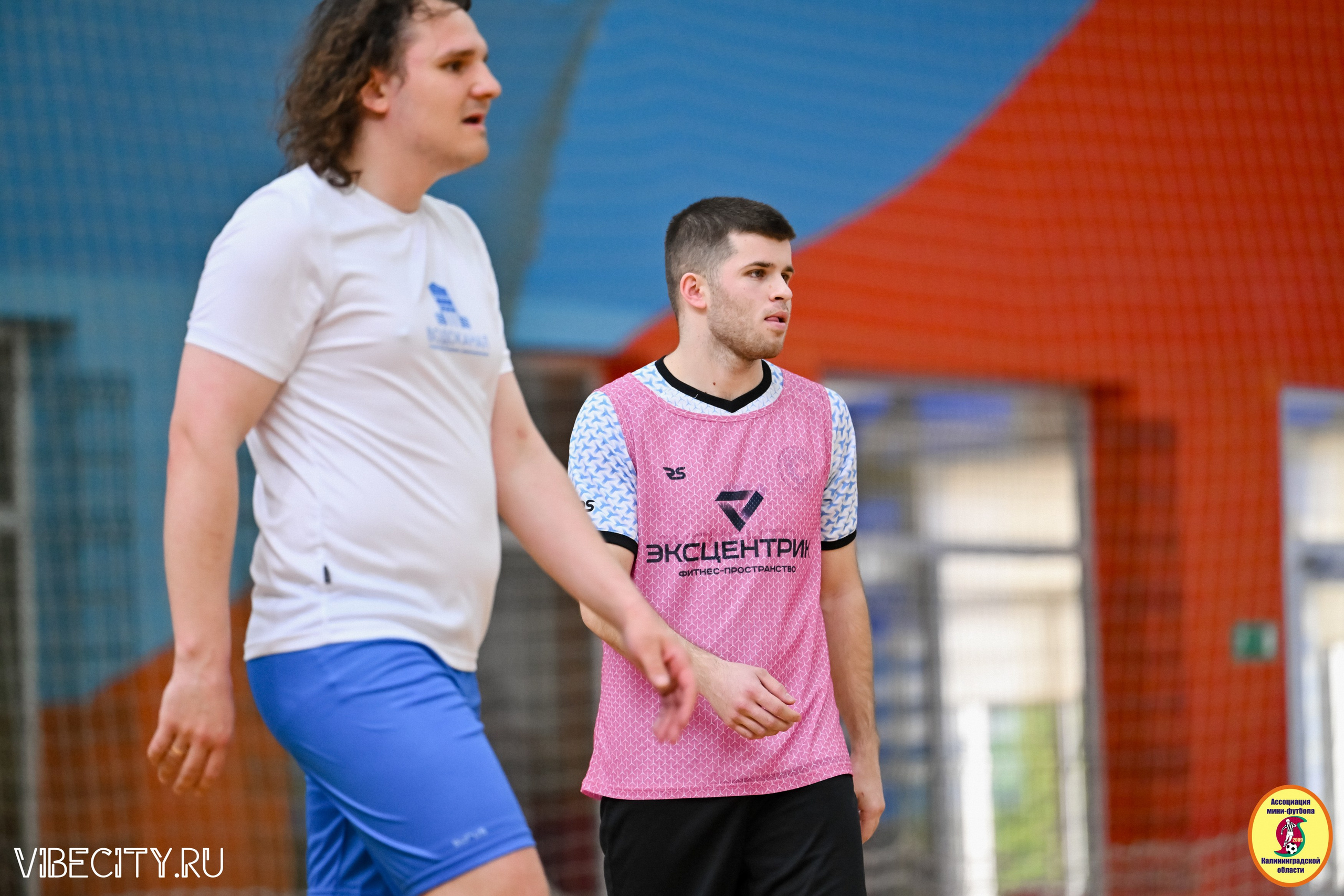 8 тур Корпоративной Бизнес-Лиги по футзалу. VIBECITY.RU Вайб Сити Ру Фоторепортажи Фотоотчеты Калининград