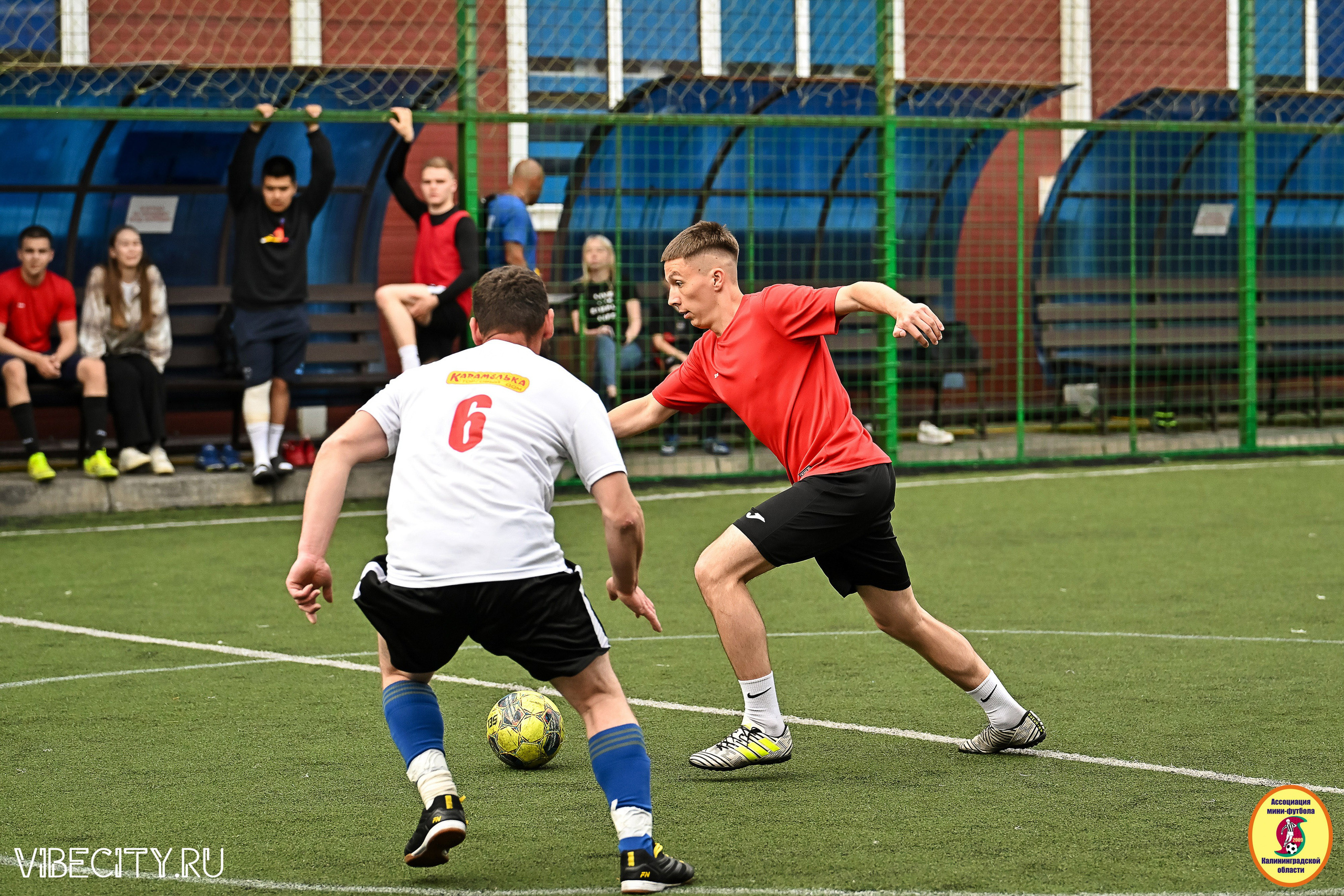ИГРЫ МИНИ-ФУТБОЛЬНОЙ И КОРПОРАТИВНОЙ ЛИГИ. VIBECITY.RU Вайб Сити Ру Фоторепортажи Фотоотчеты Калининград