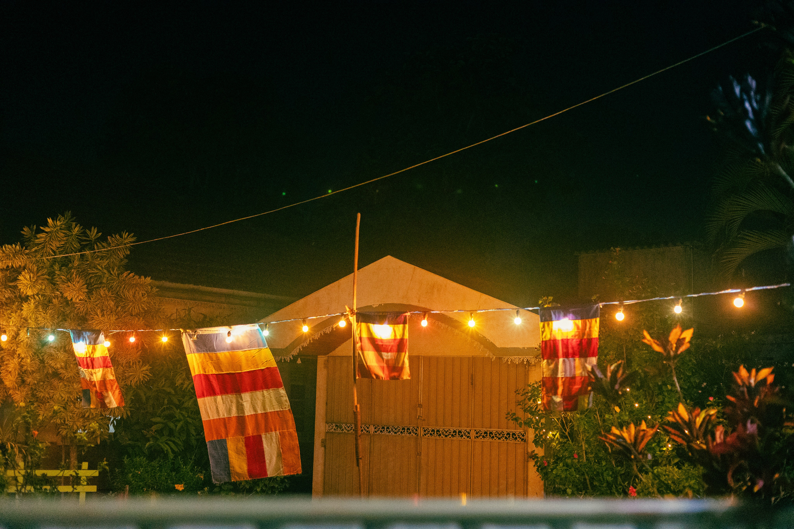 Vesak Poya 2023. Photographer Sonkina Tatiana (Tanya Ash)