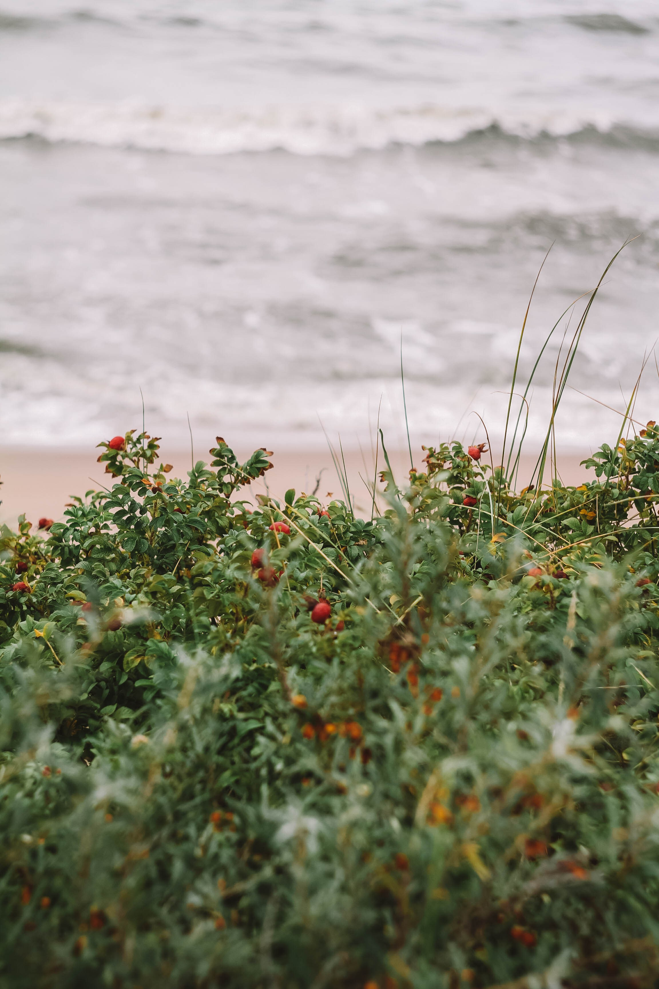 Калининград