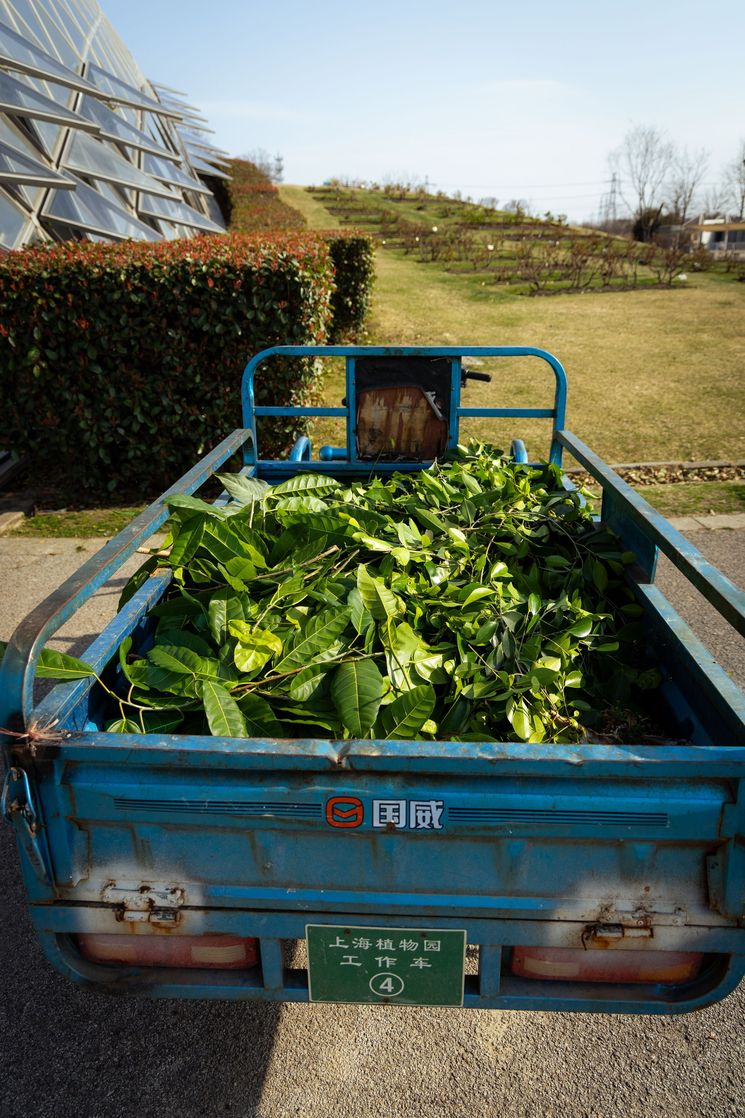 Шанхай (март 2026). Фотограф Виноградов Константин