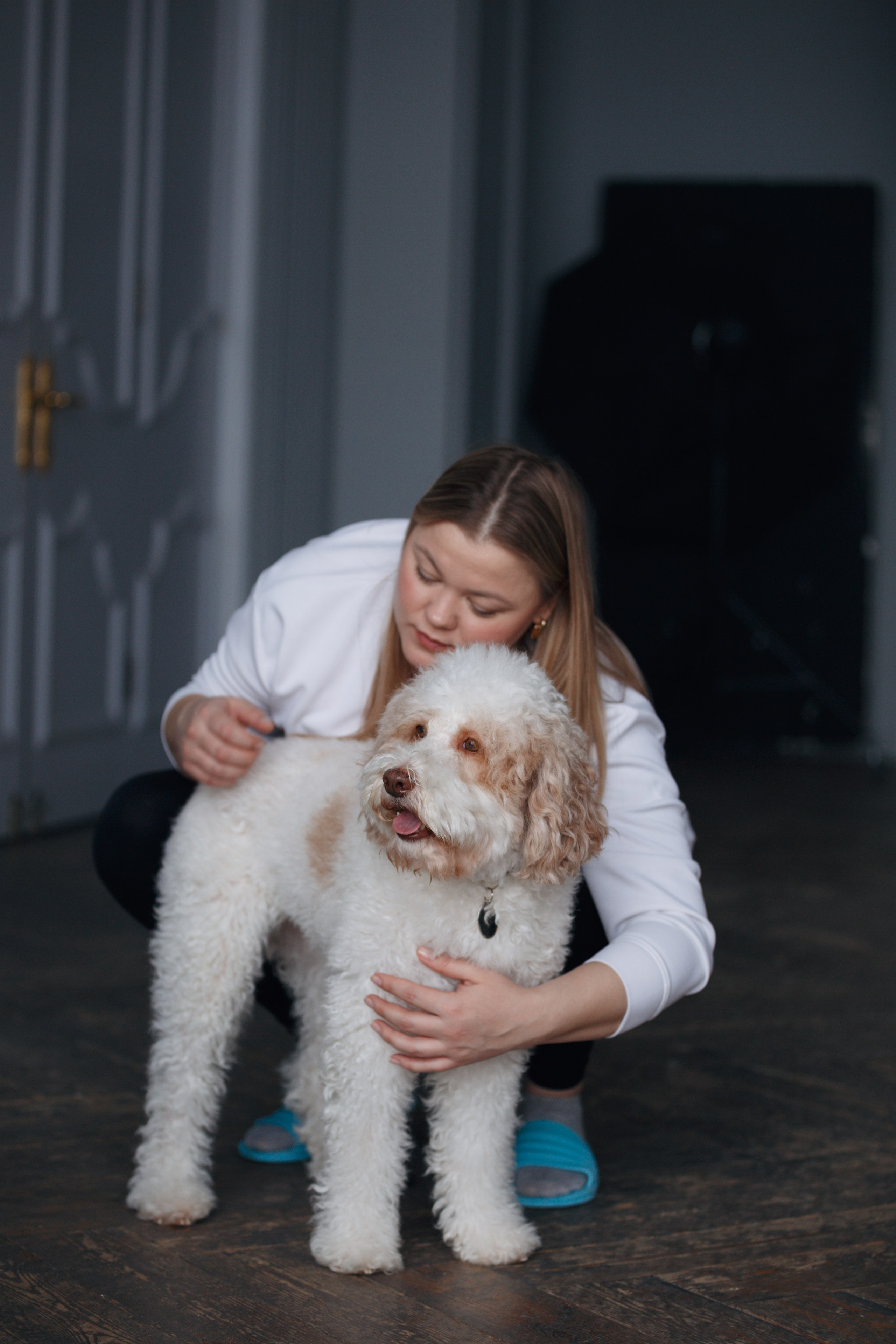 Bmbh лежанки и адресники. Фотограф анималист Кристина Карпова, Москва