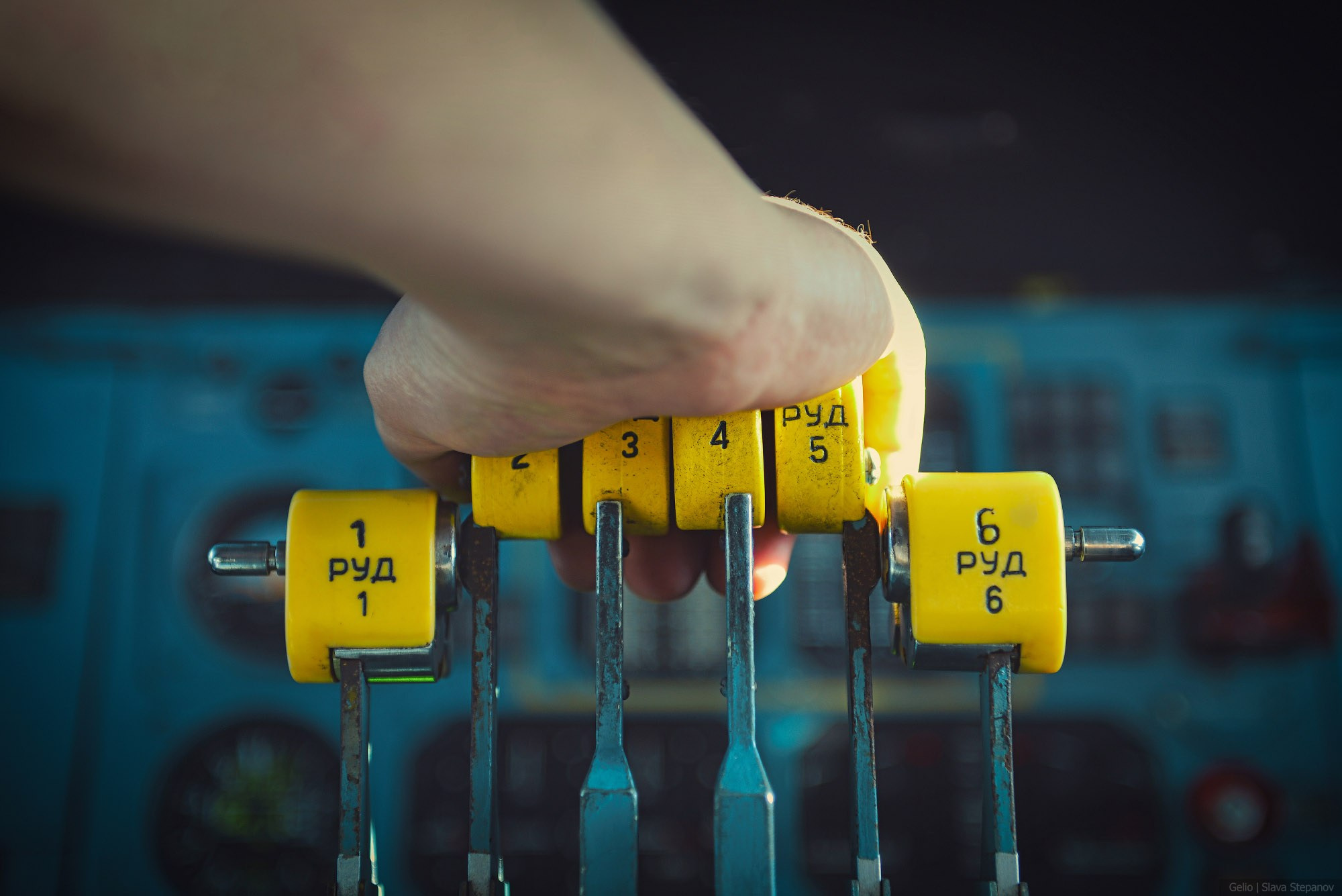 Аваиция. Фотограф Слава Степанов, Gelio