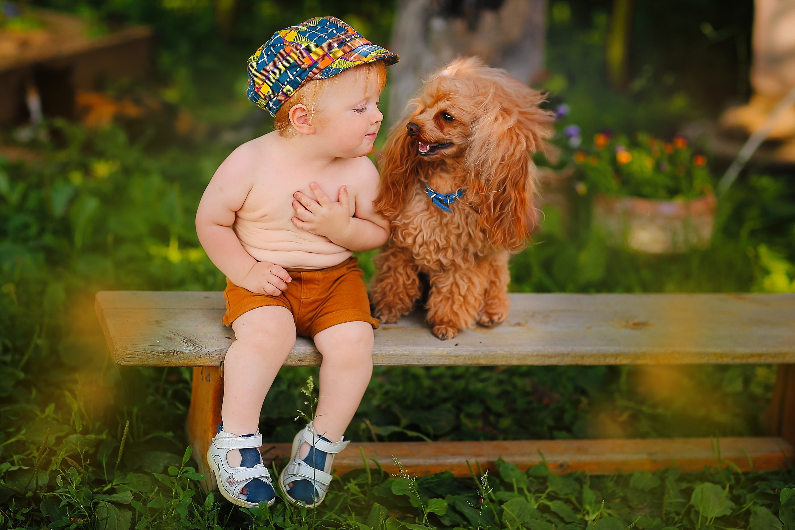 Четвероногие друзья. Репортажный, семейный, школьный фотограф в Иванове Инна Крылова