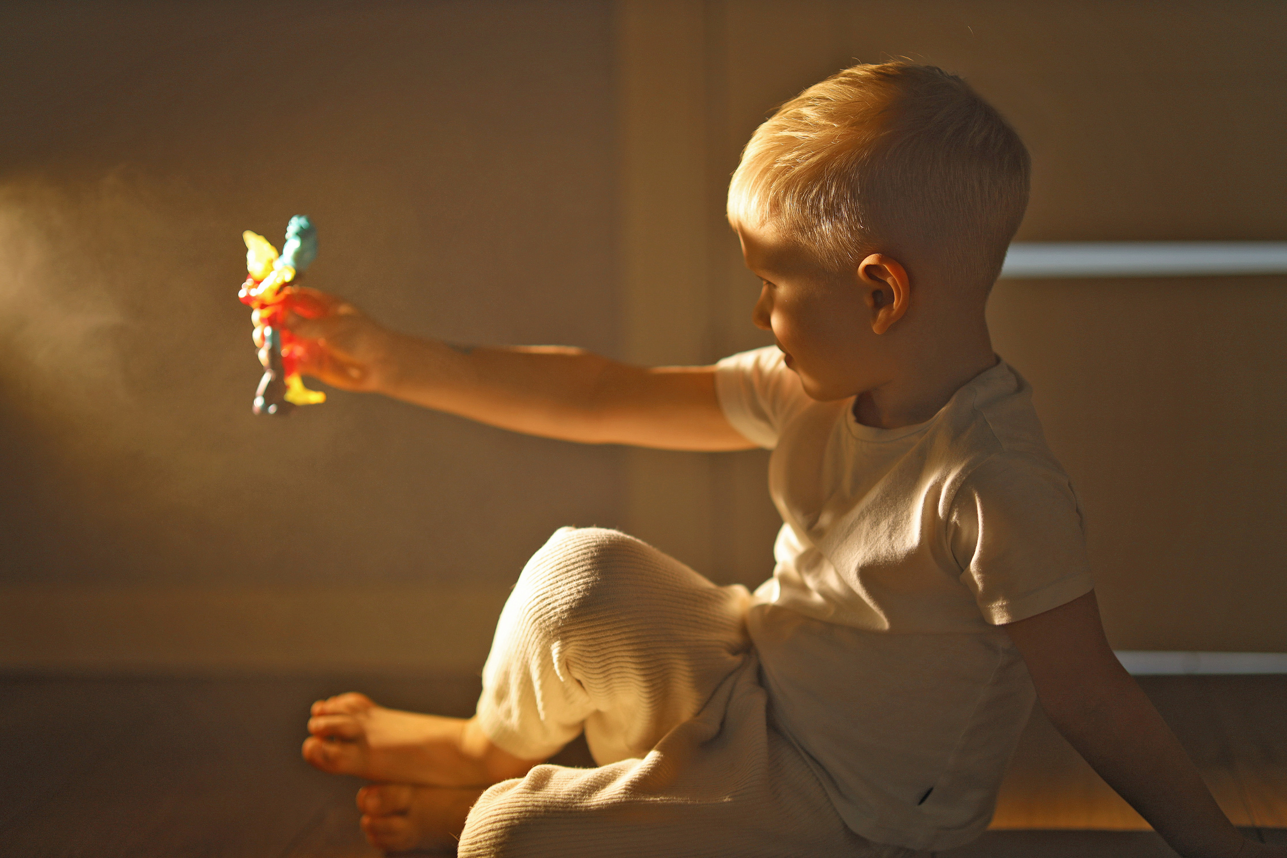 Обучение экспертов • ССЕ ICF