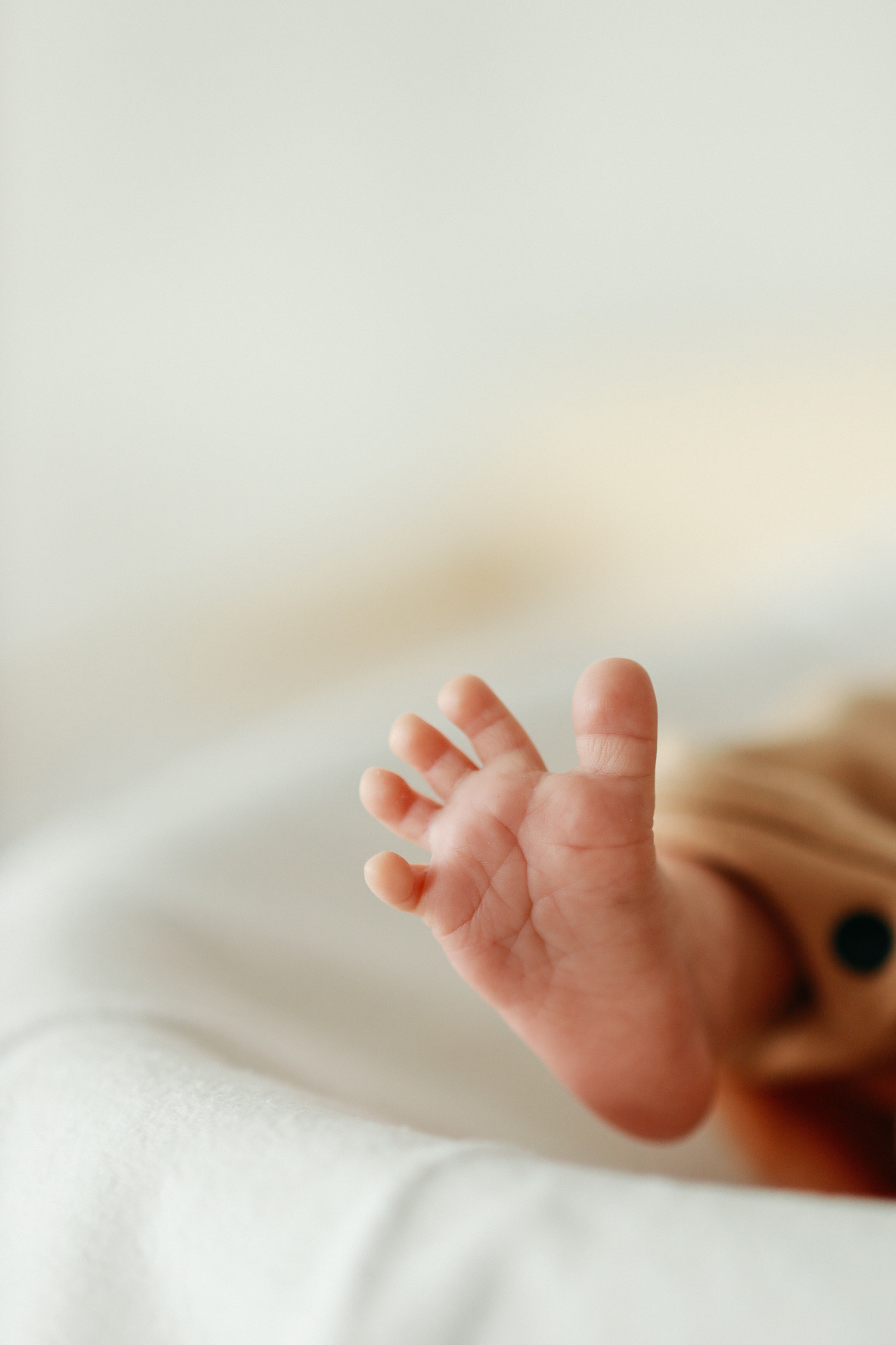 Обучение экспертов • ССЕ ICF