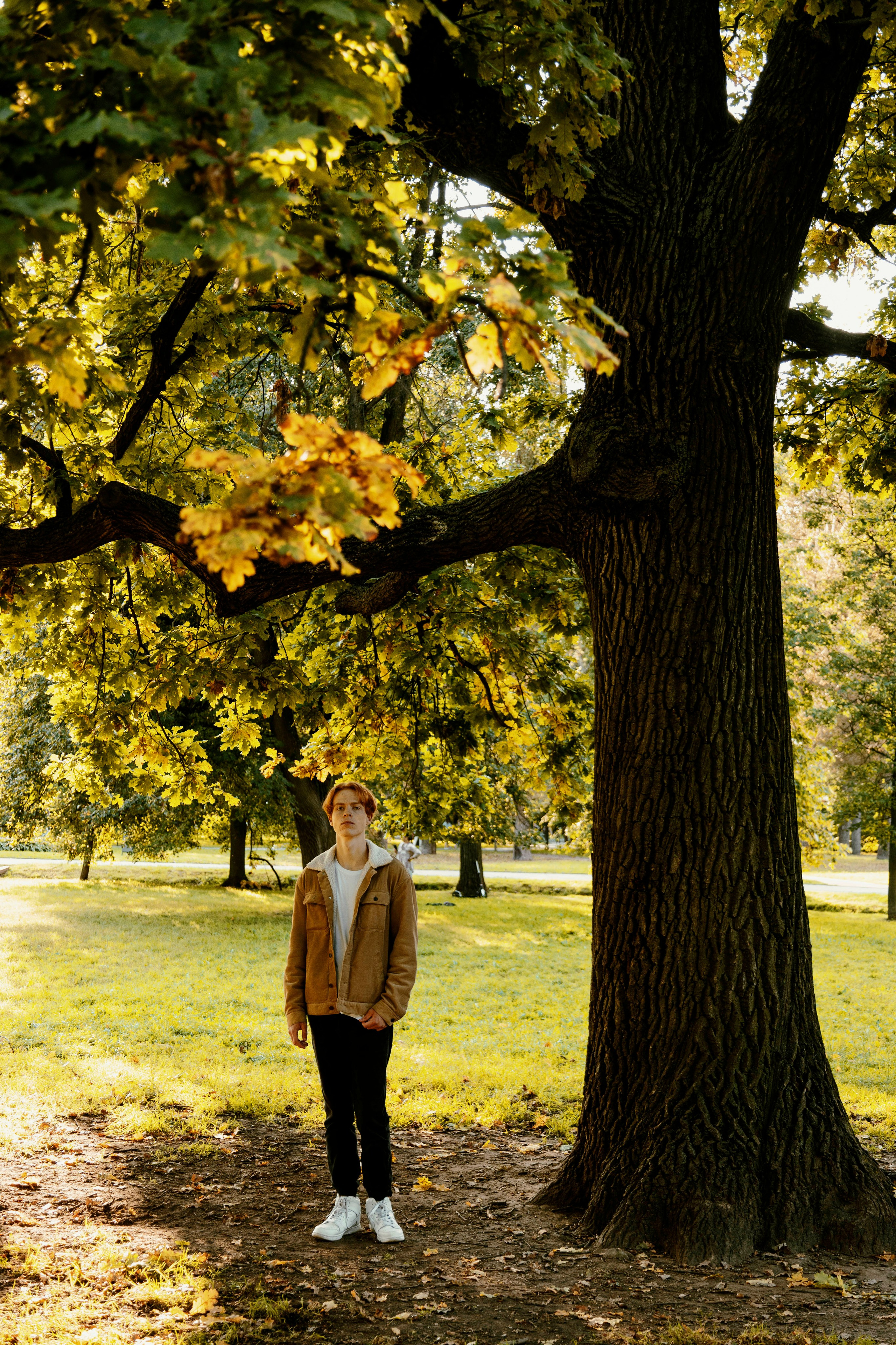 Владимир — Золотой час. Индивидуальный фотограф в Москве