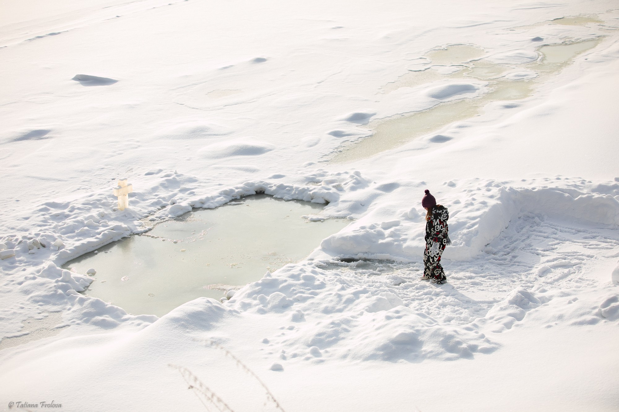 Фотосъемка похода с собаками в Московской области. Фотограф-анималист в Москве и Московской области Татьяна Фролова
