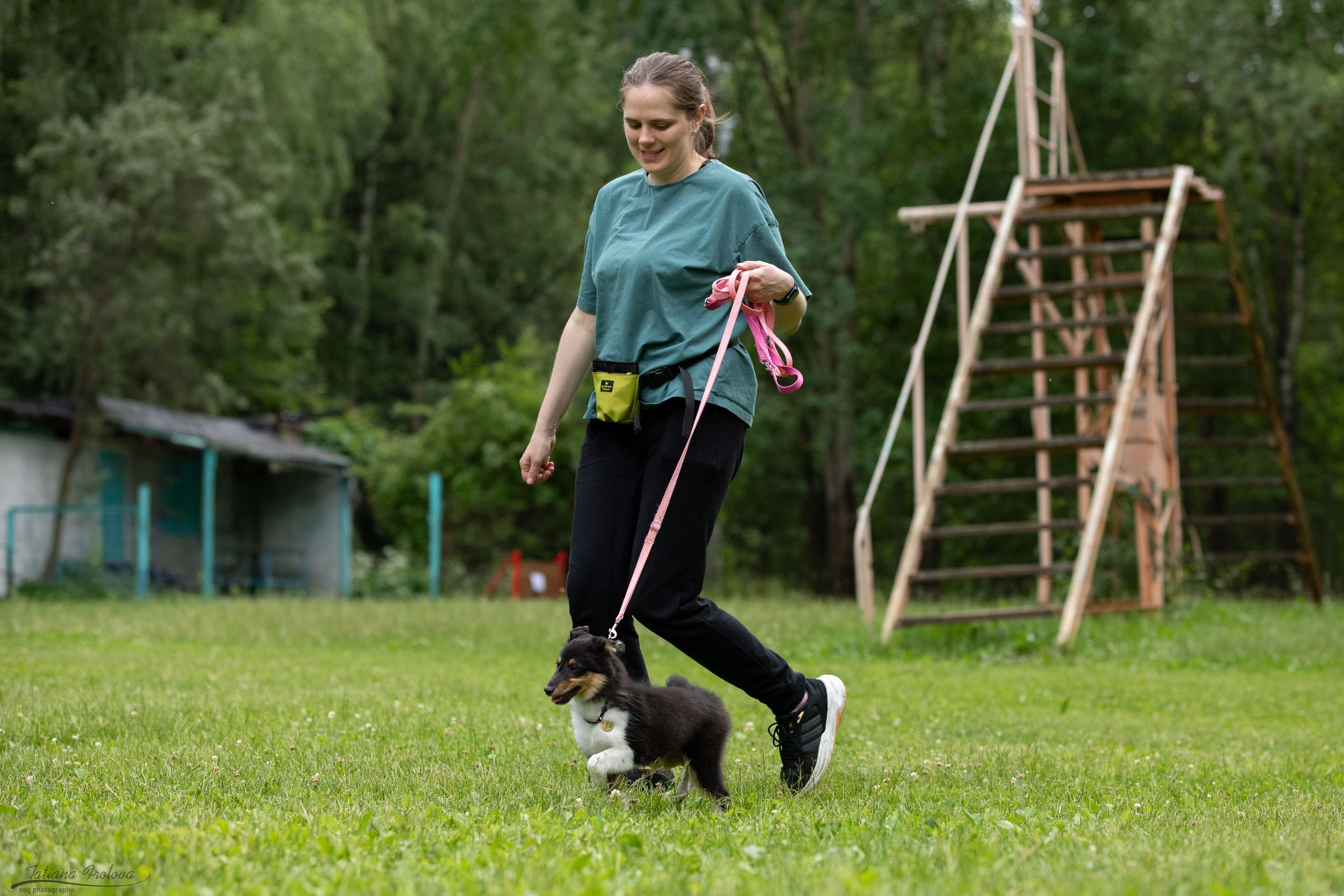 Репортаж с выводки молодняка колли/шелти в Ясенево. Фотограф-анималист в Москве и Московской области Татьяна Фролова