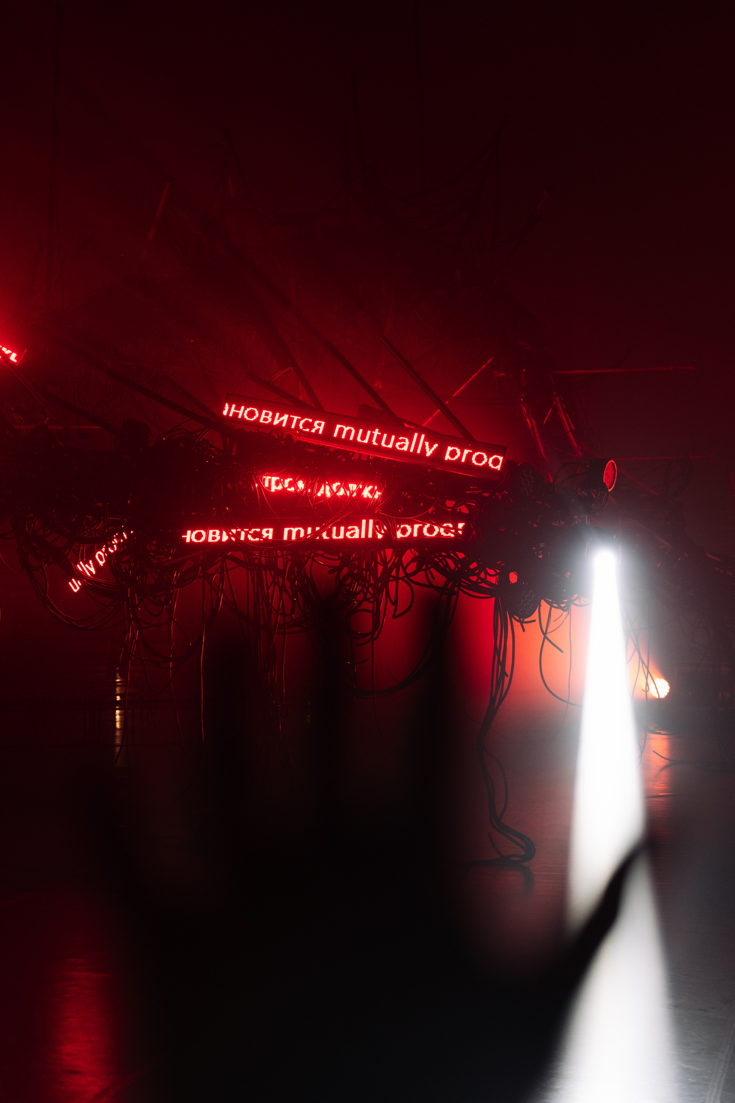 PANTERRA, CHRONOMORPH 001. @tomrus: Рустам Шагиморданов — фотограф