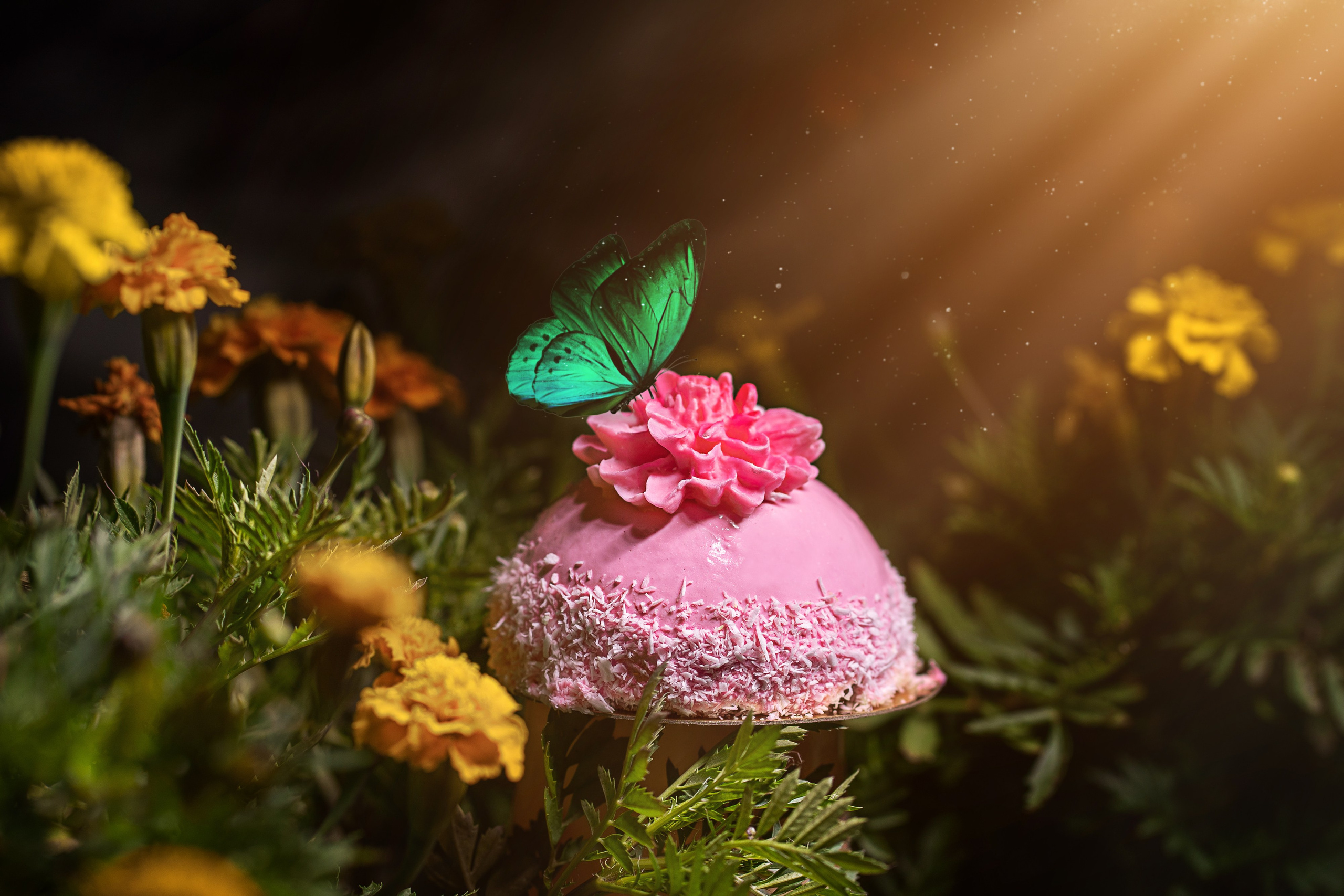 Food. Фотограф, Видеограф и Ваш личный Эксперт по Маркетингу