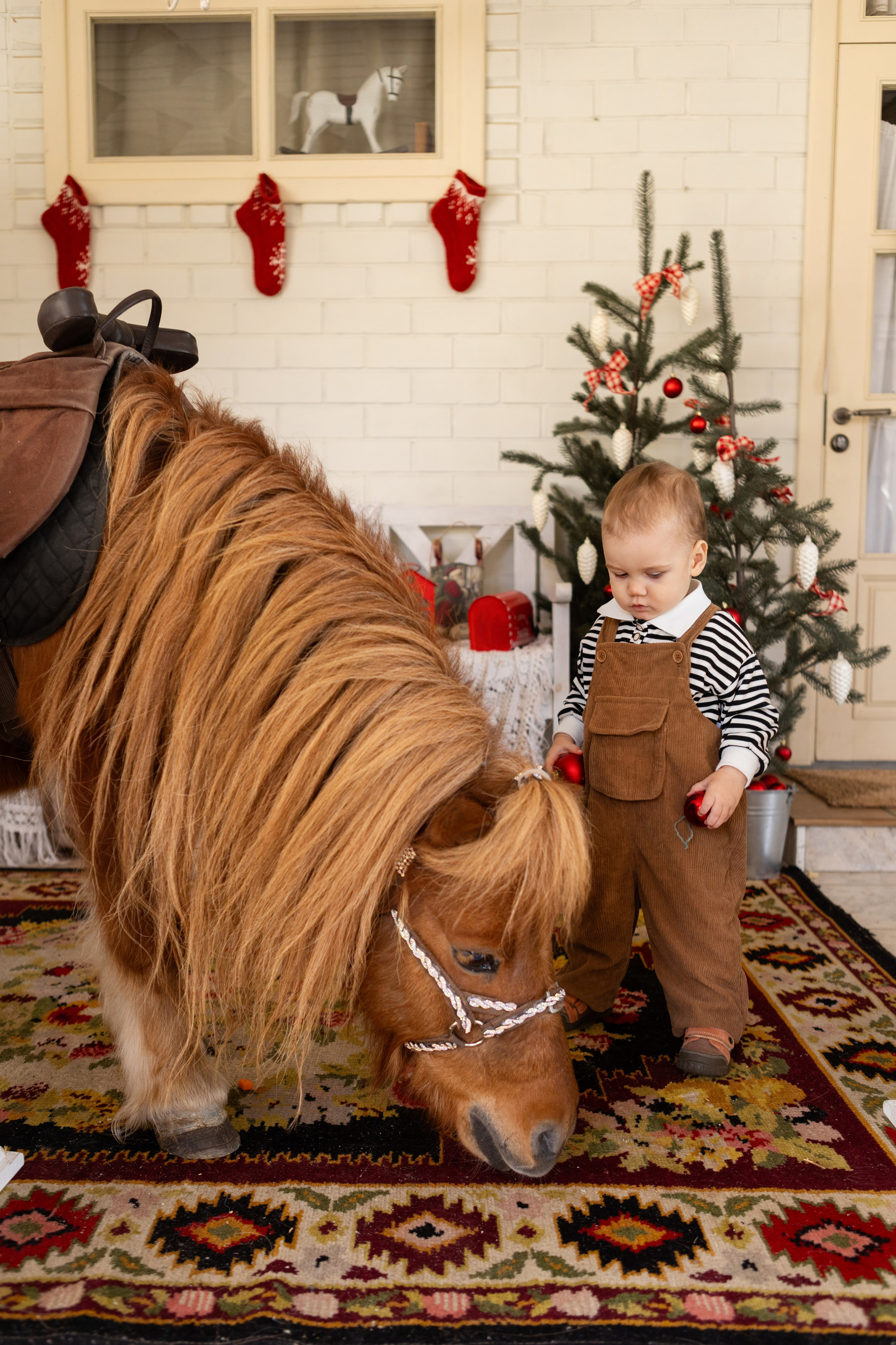Символ 2026 года «Пони-Бонус». Фотостудия Ольги Сурухановой. Свадебный семейный и детский фотограф в Краснодаре Карина Федоровская