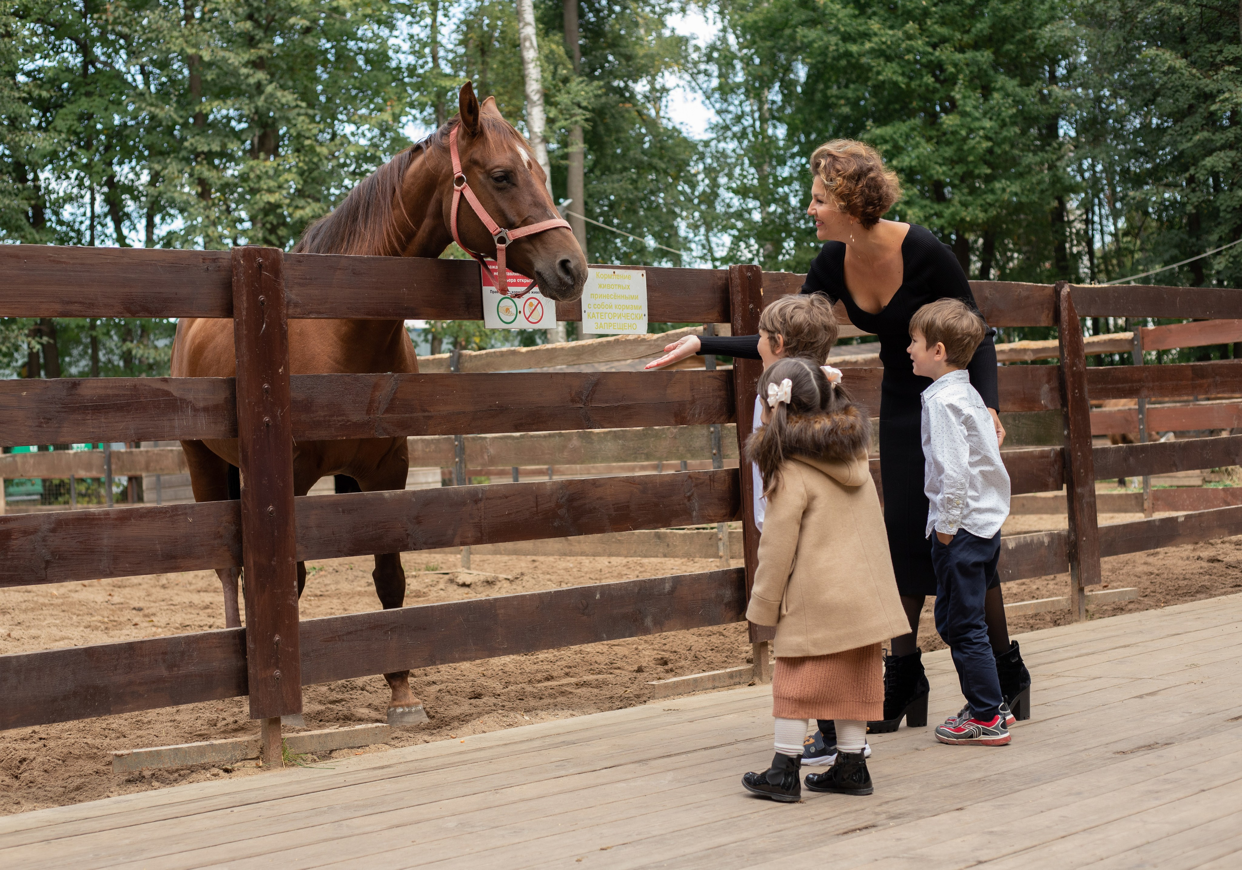 Семейная фотосессия. Фотограф текстиля в Москве Ольга Иванова