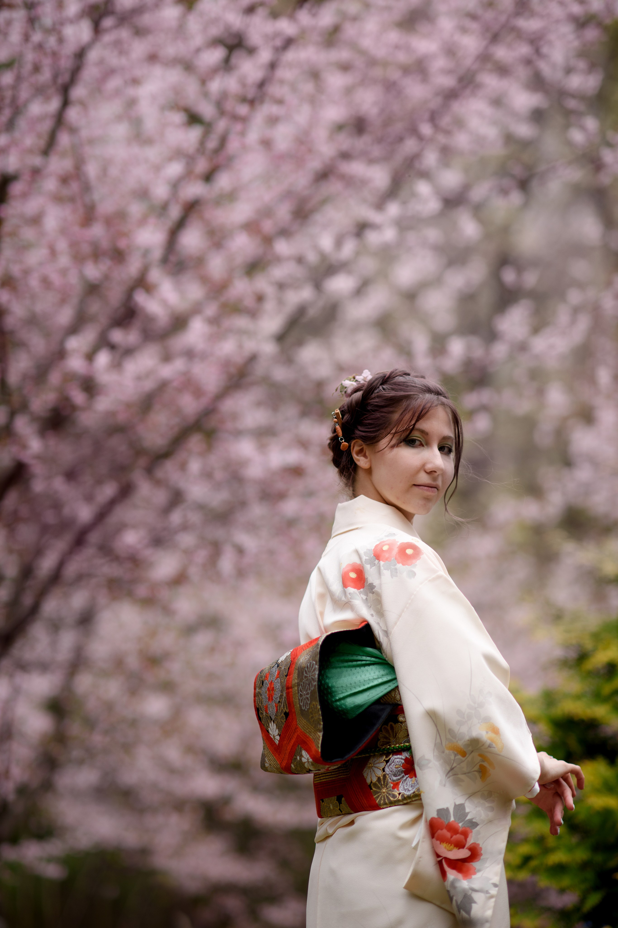 Любование сакурой в Бирюлевском дендропарке. Главная