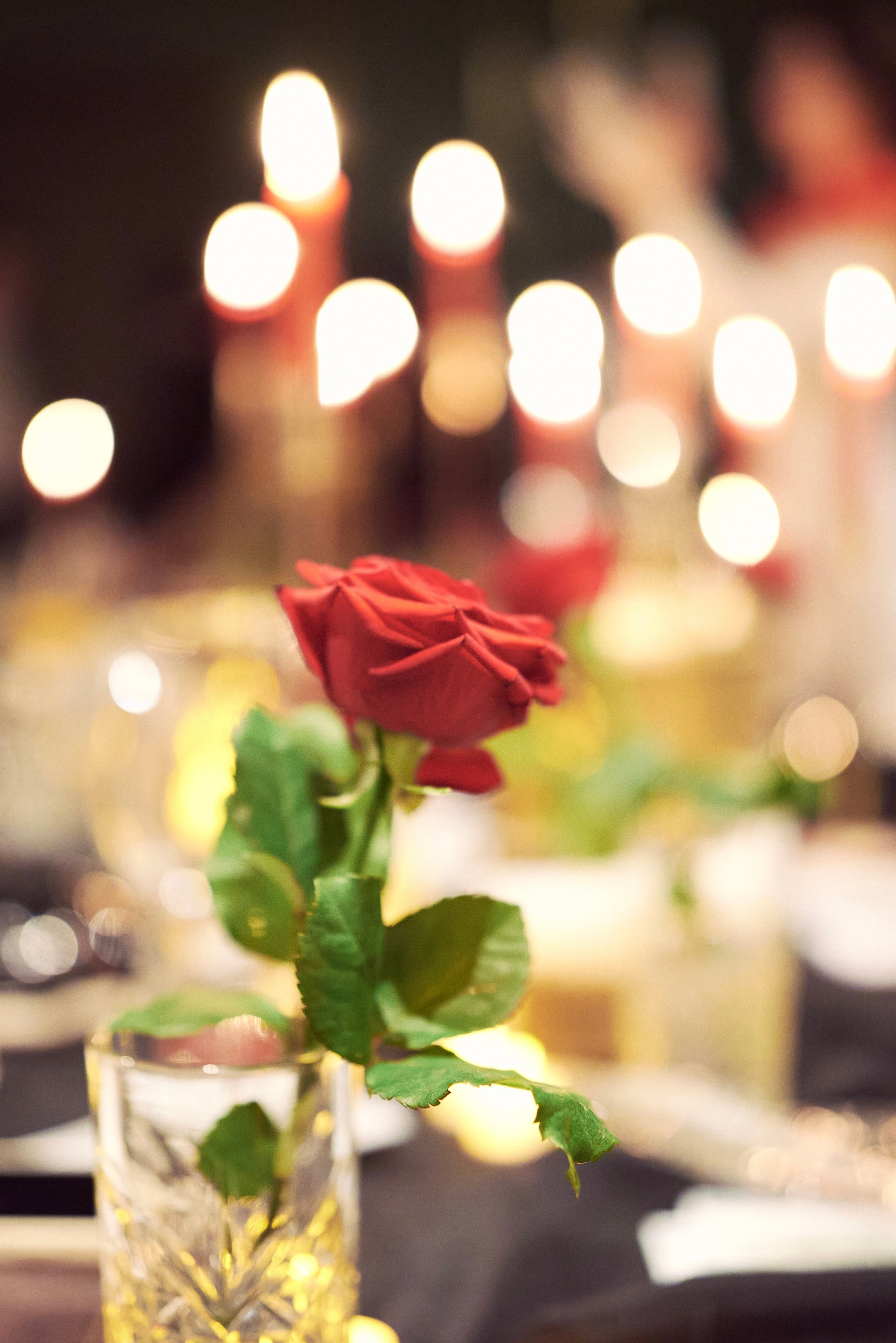 Репортаж. DiMONDi Московский фотограф