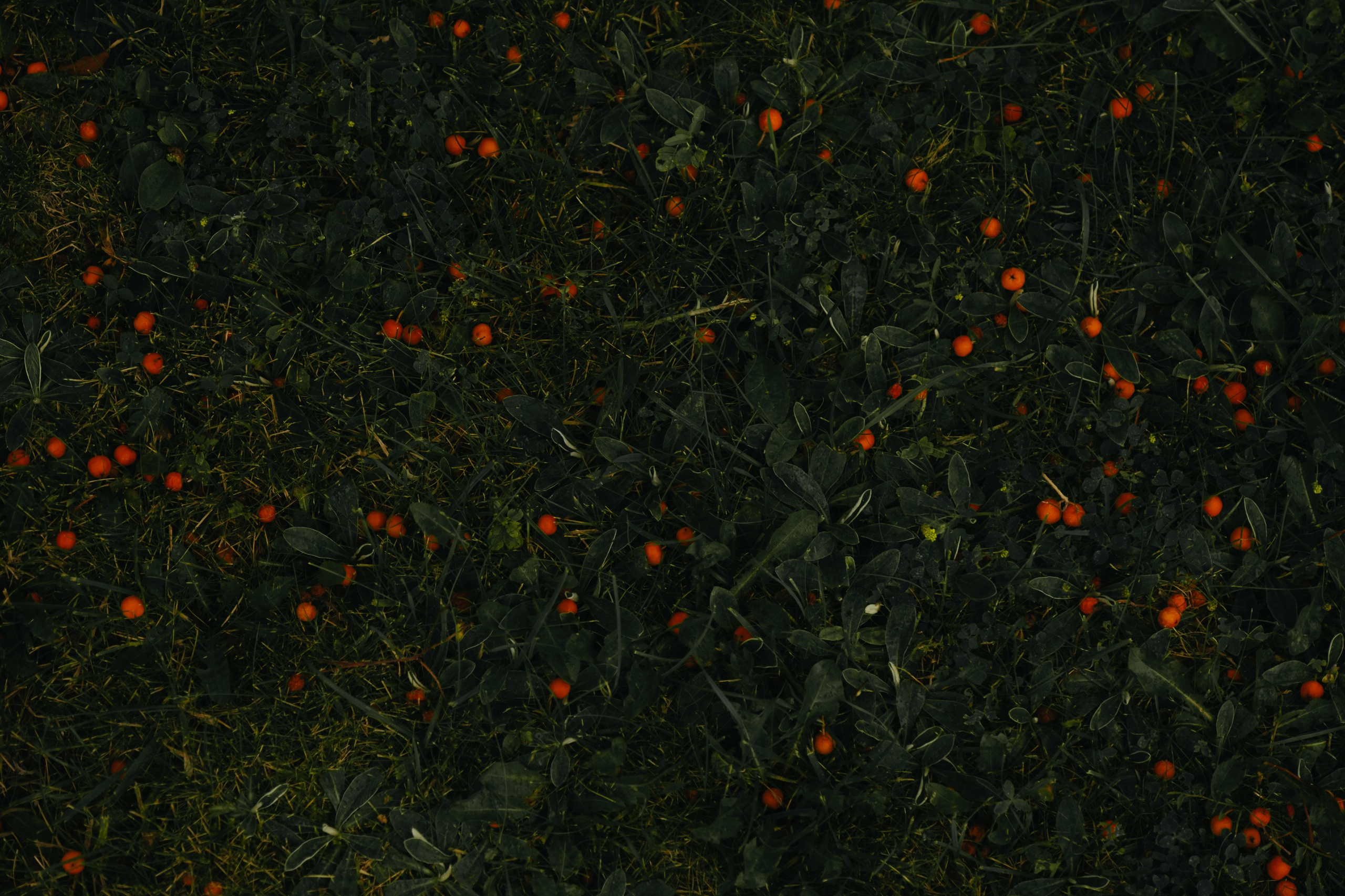 Молодые счастливые. Обо мне