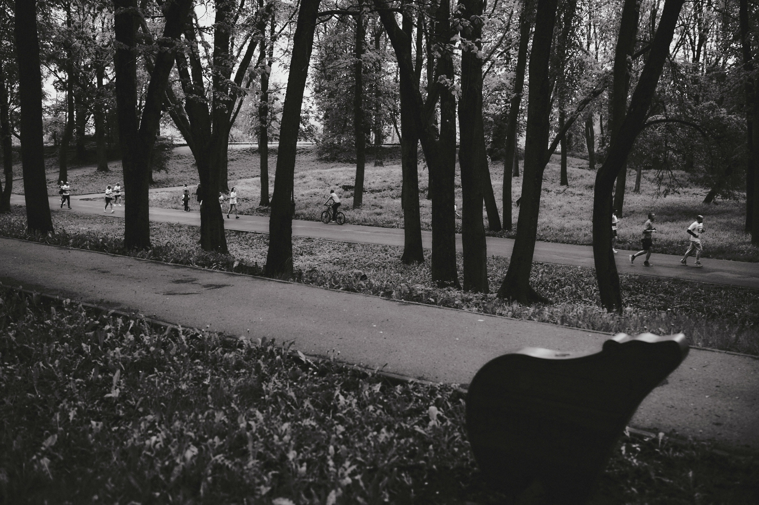 ЗАБЕГ 25. Ваш мультижанровый фотограф Александр Белов